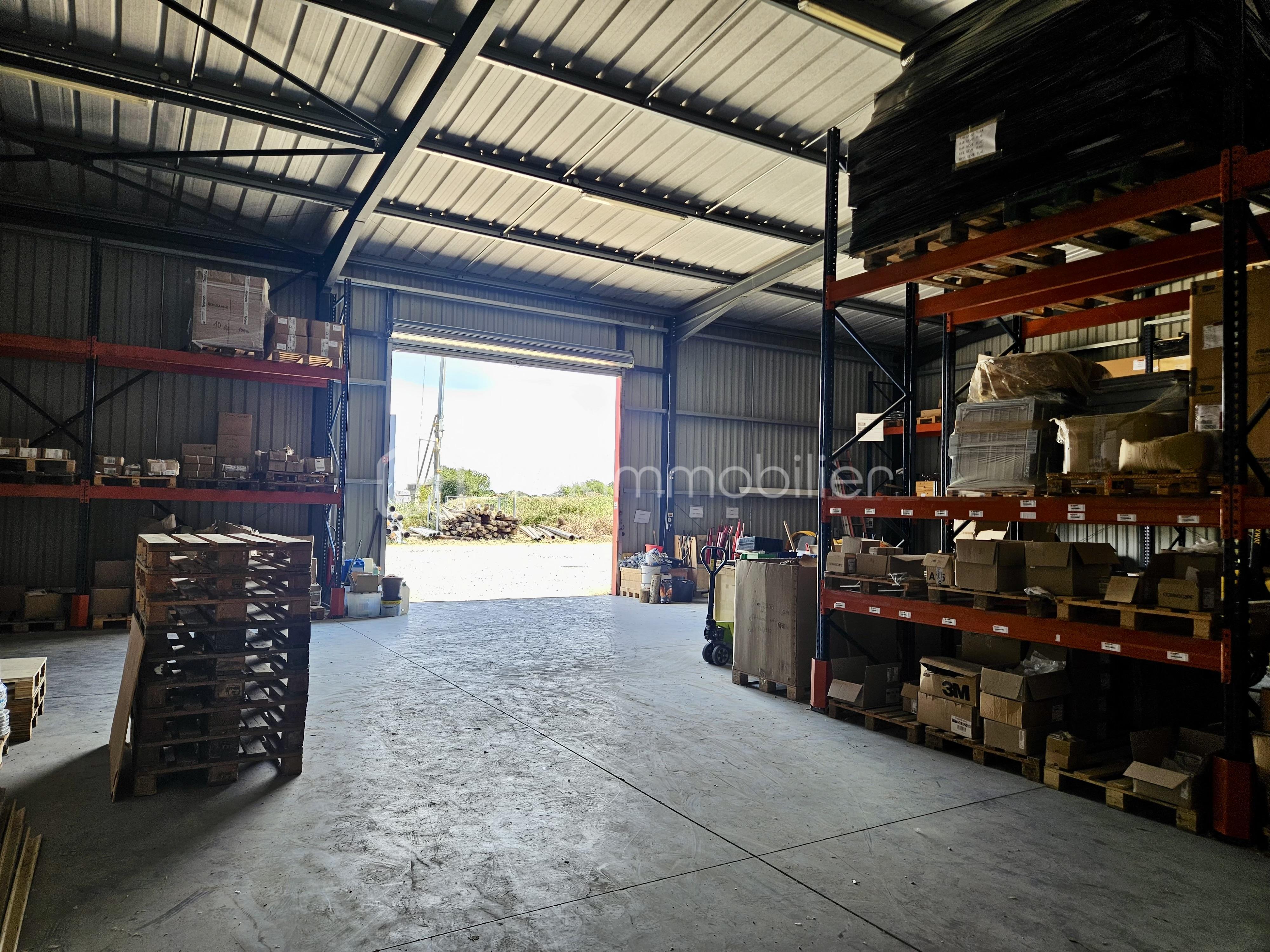 Local commercial de 354 m² - image00006.jpeg