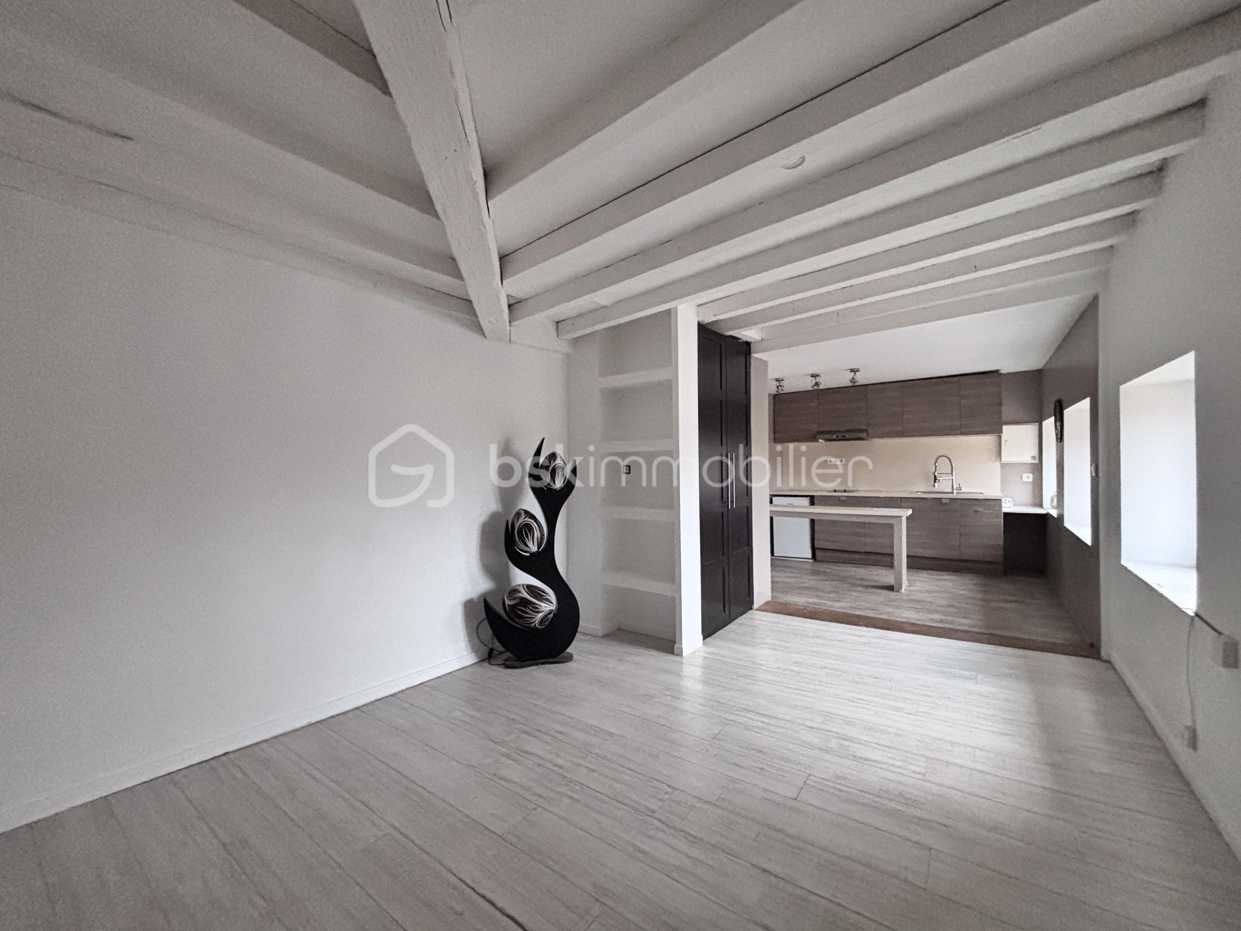 Loft de 44,82 m² - IMG_7487.jpeg