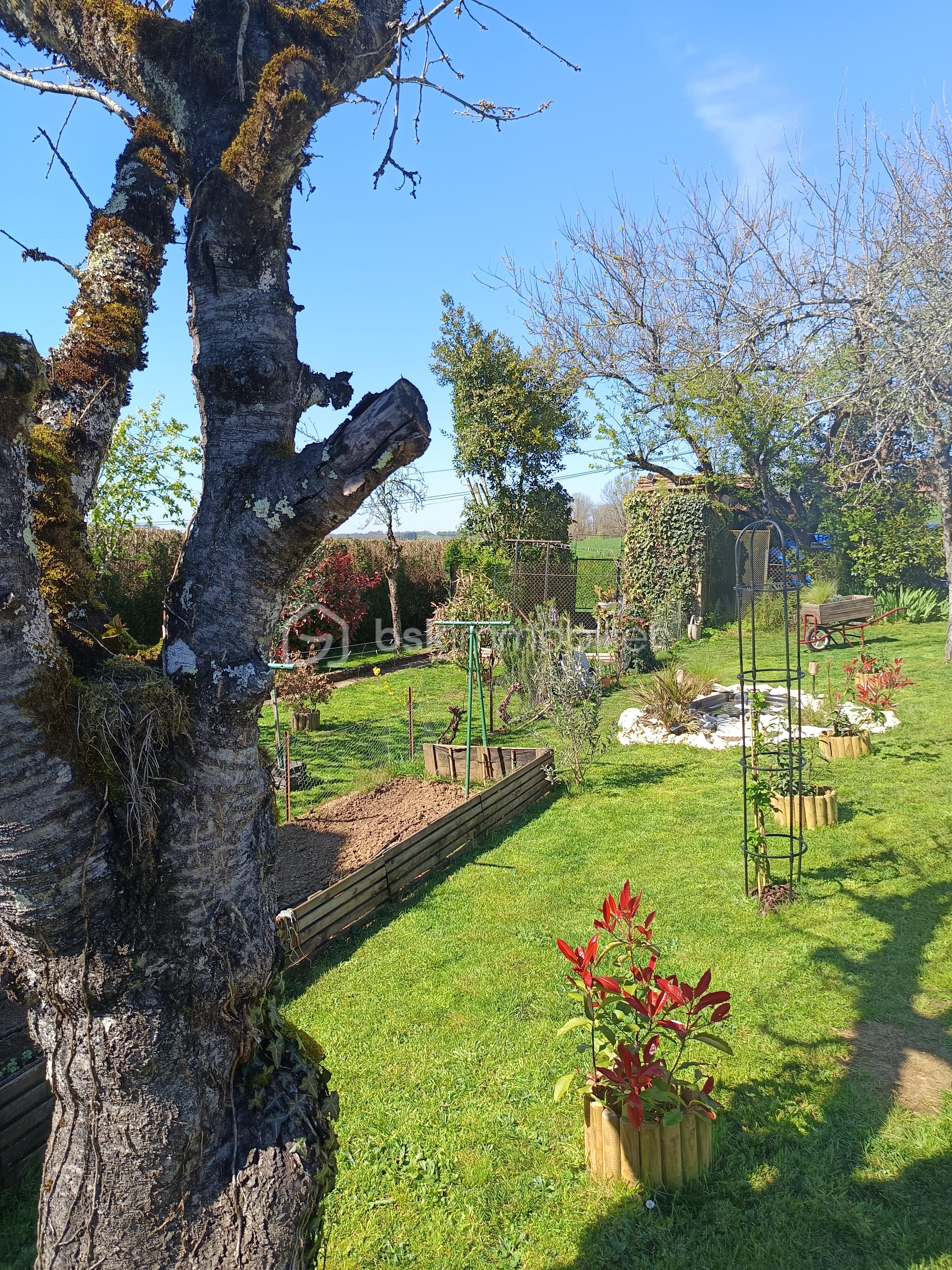 jardin depuis garage.jpg