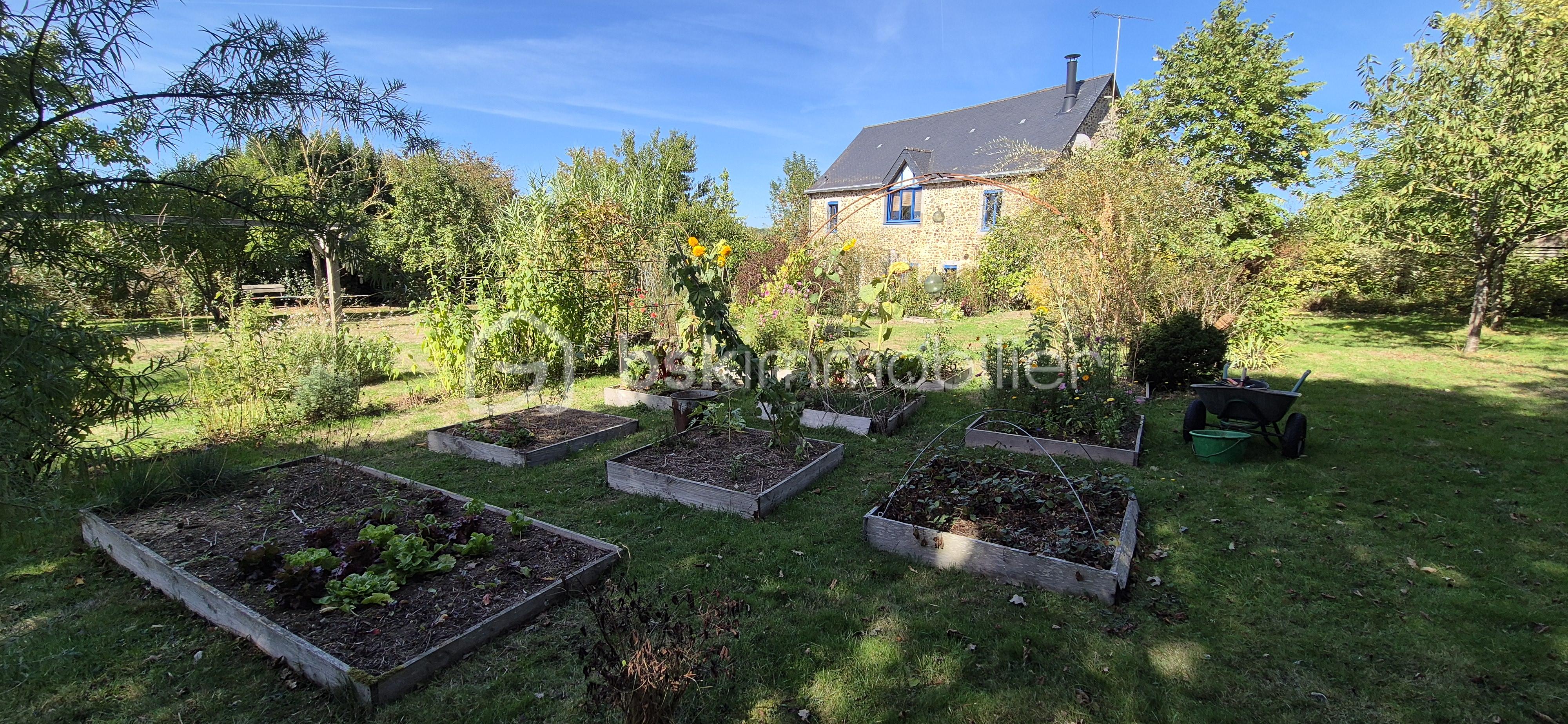 JARDIN.jpg