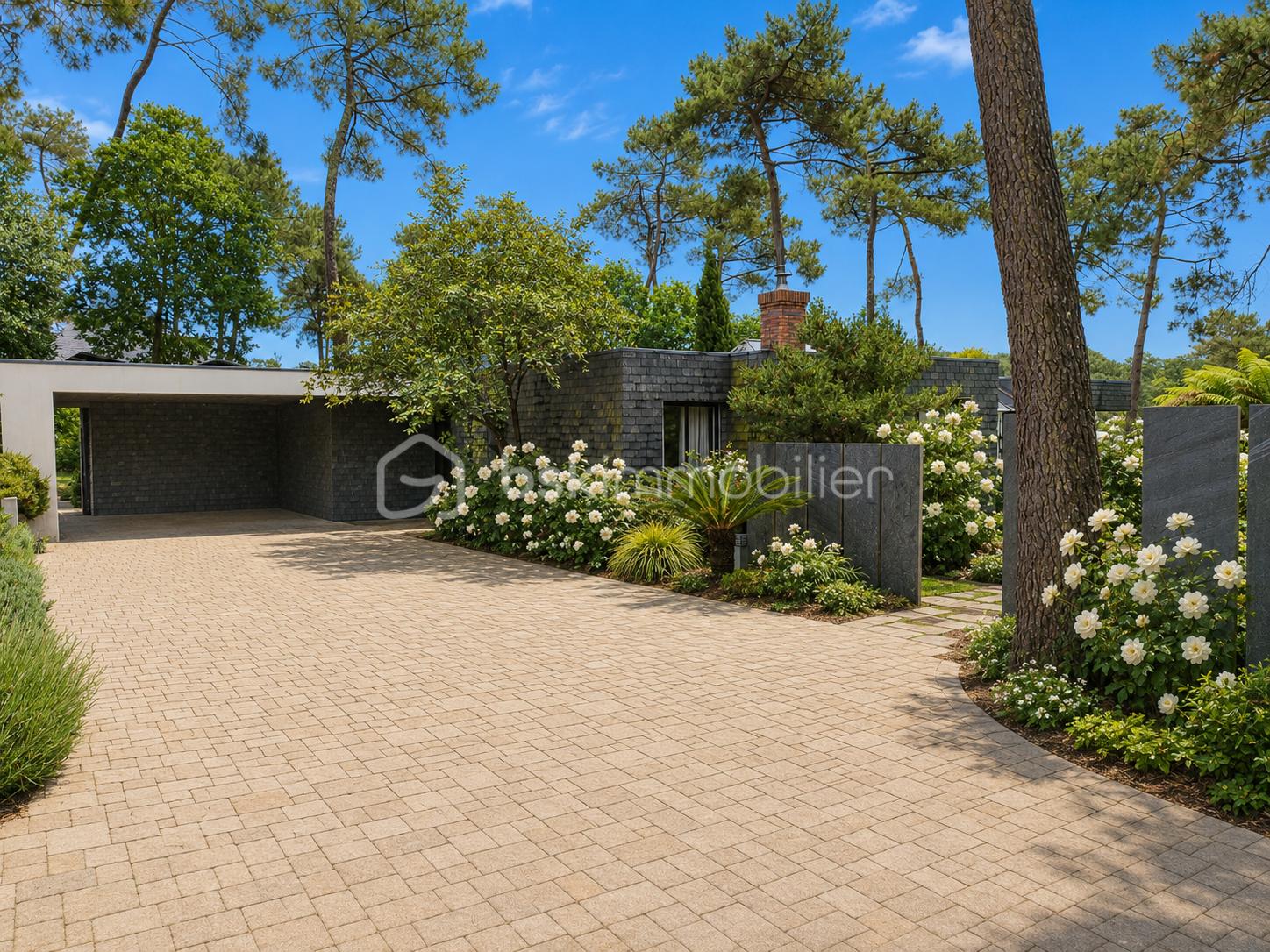 ENTREE ARRIERE CARPORT.png