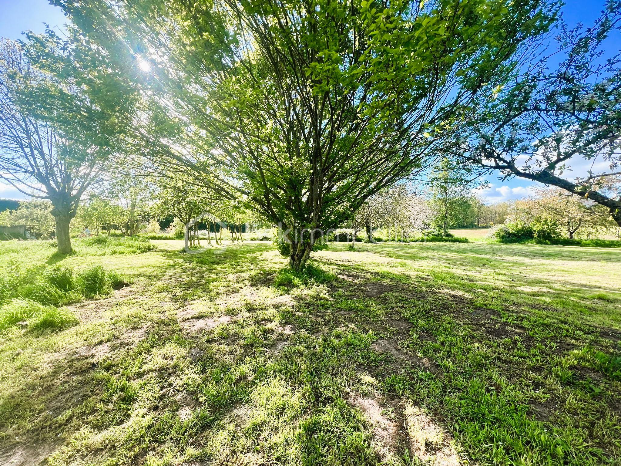 Domaine de 400 m² - KOCER 17.jpg