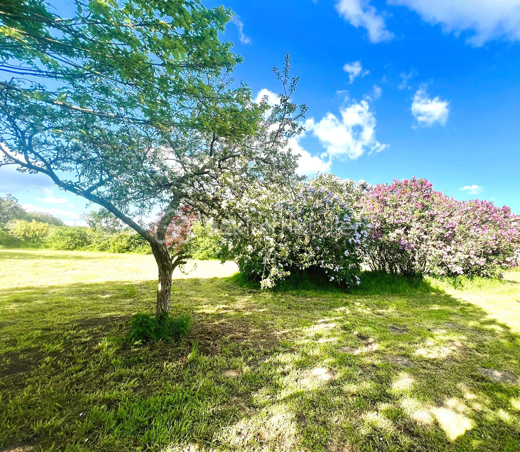 Domaine de 400 m² - KOCER 18.jpg