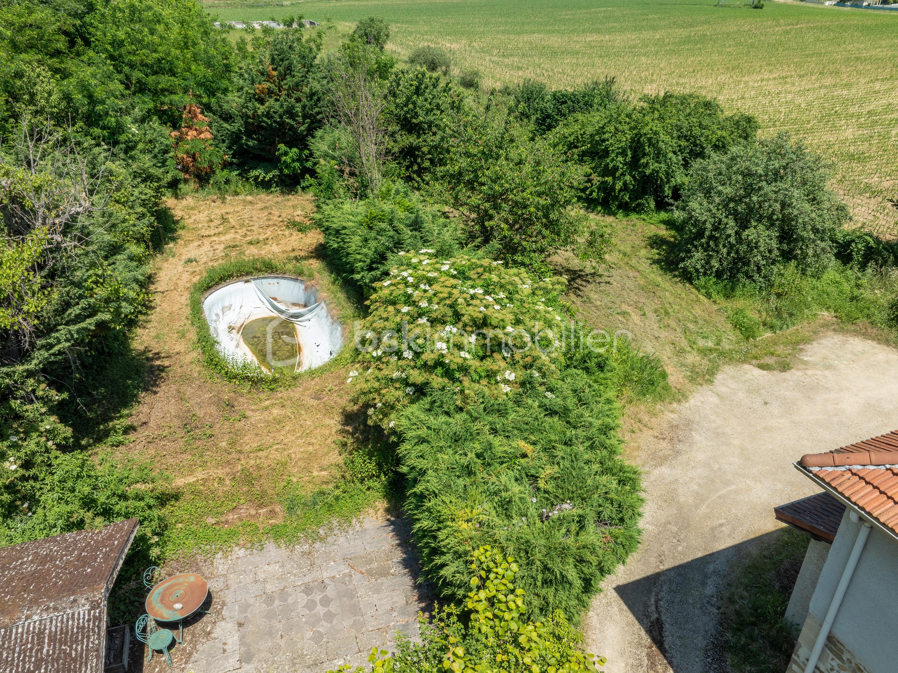DJI_0881.jpg