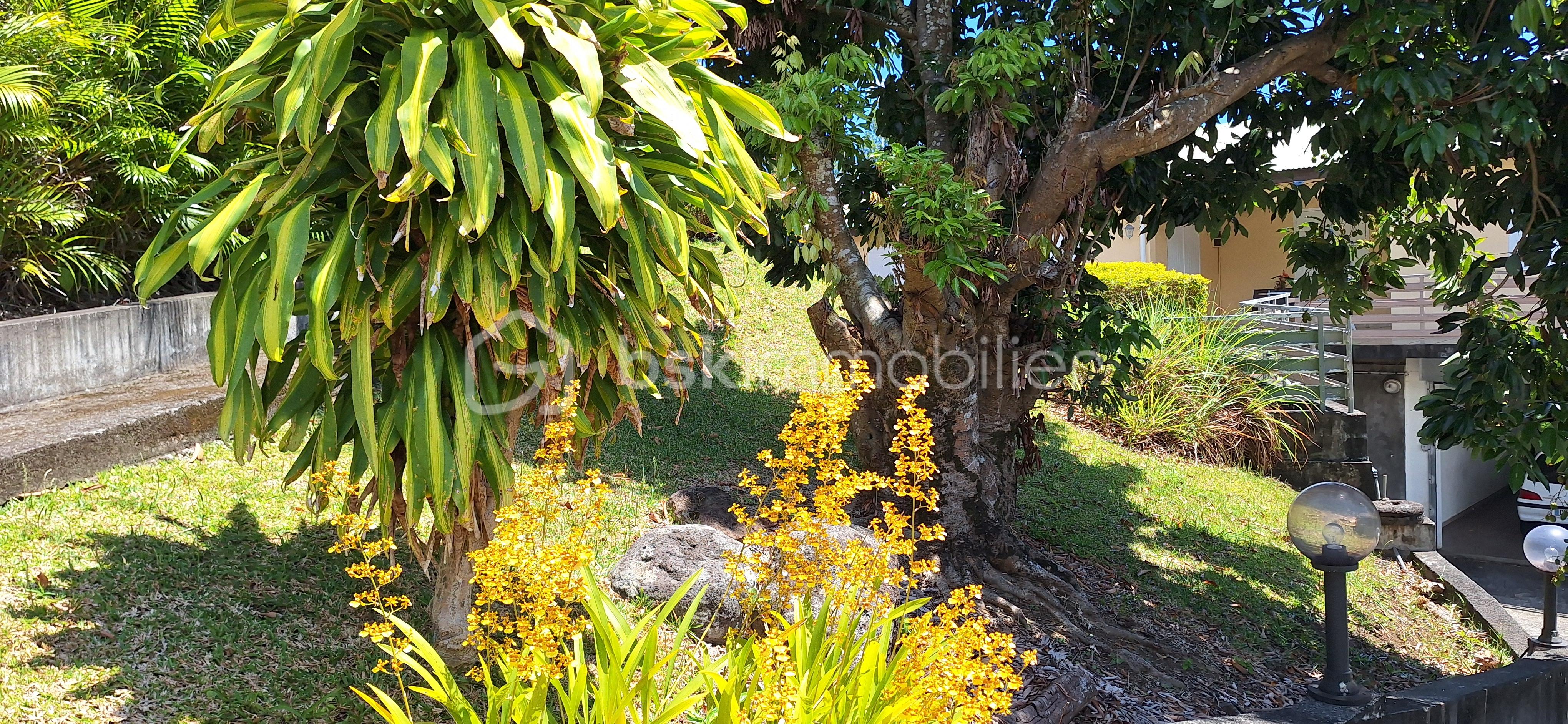 Maison de 130 m² - 20251118_104030.jpg