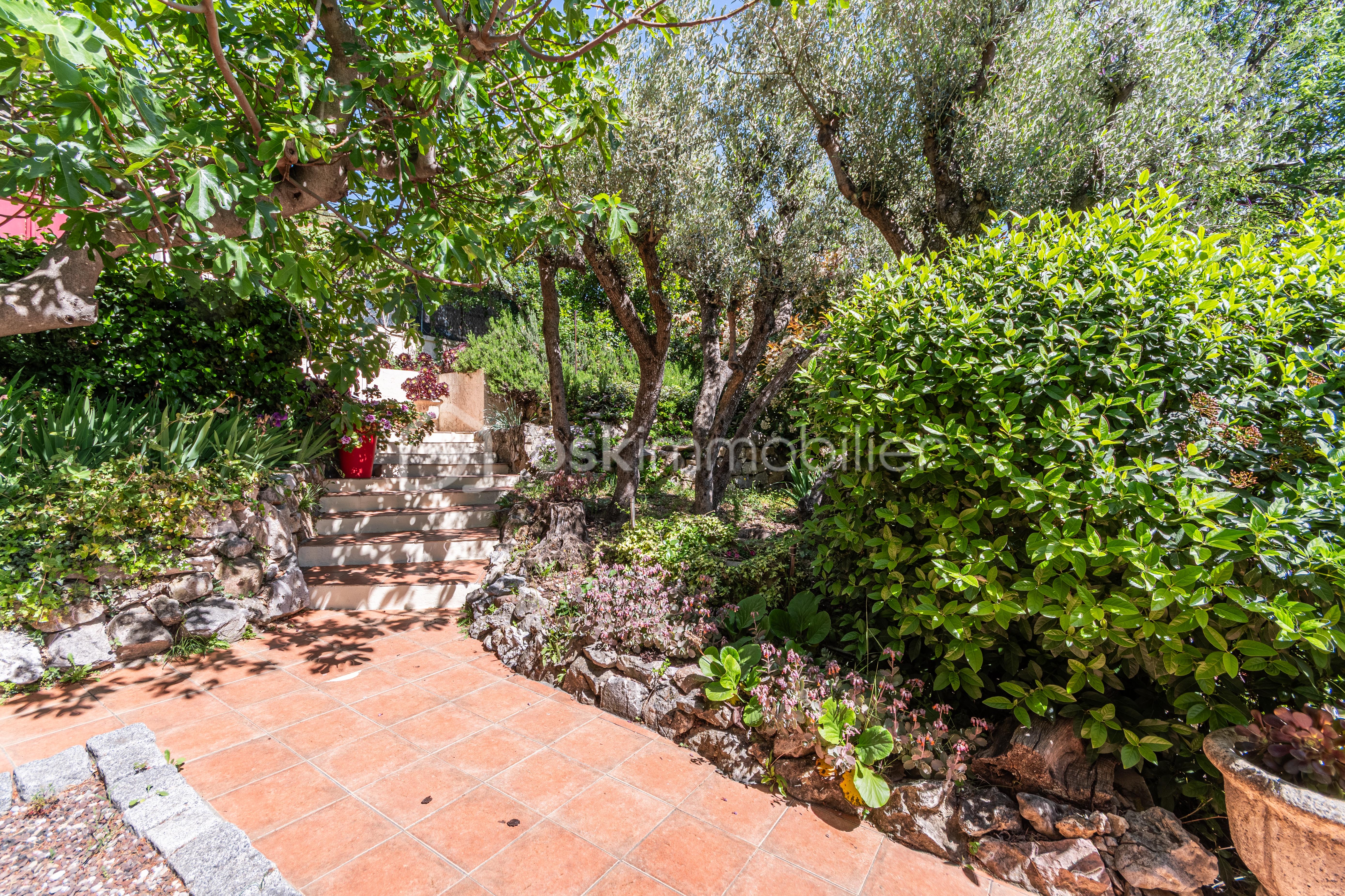 DSC_6326-HDR.jpg