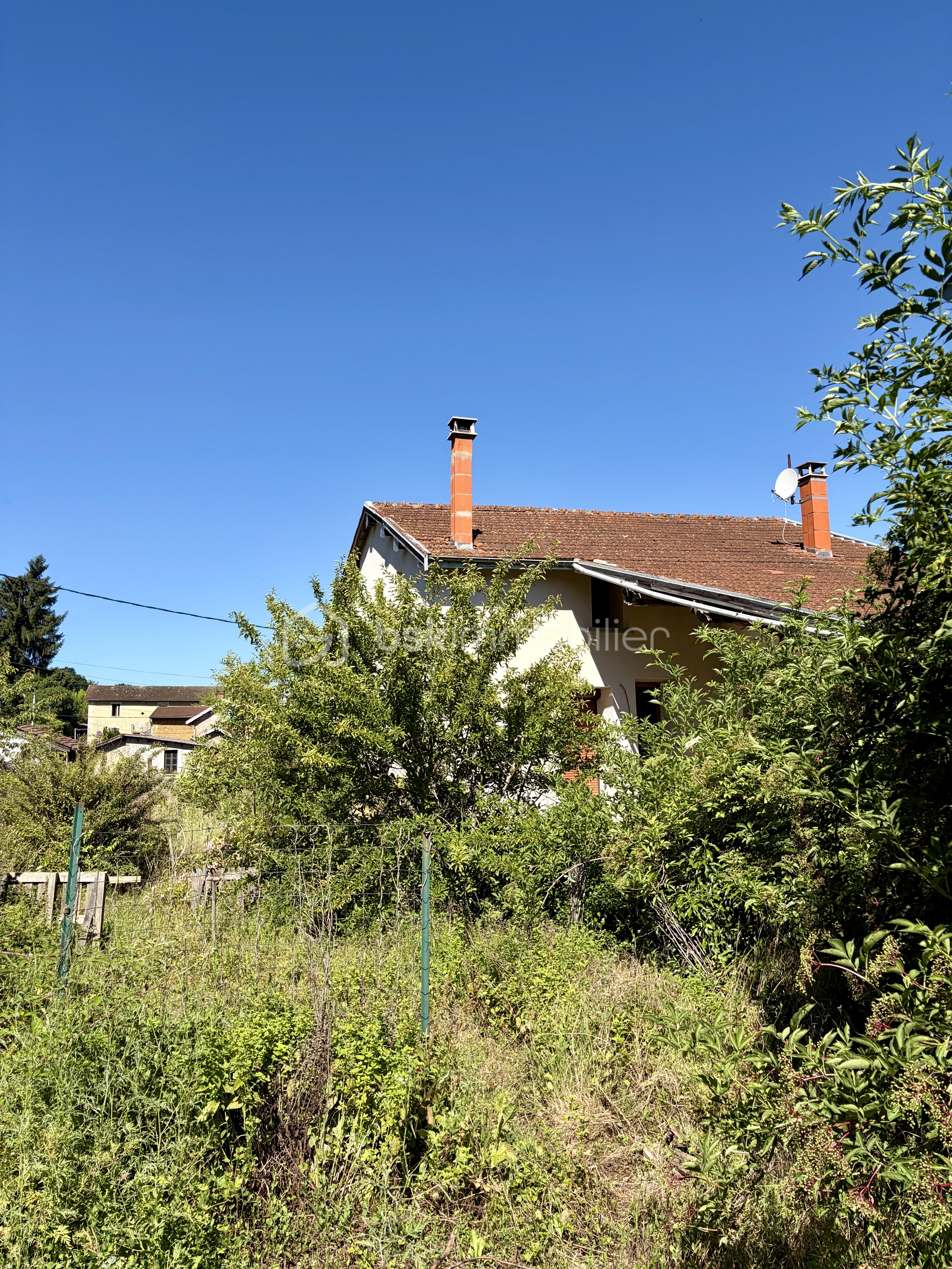 IMG_5829.jpeg