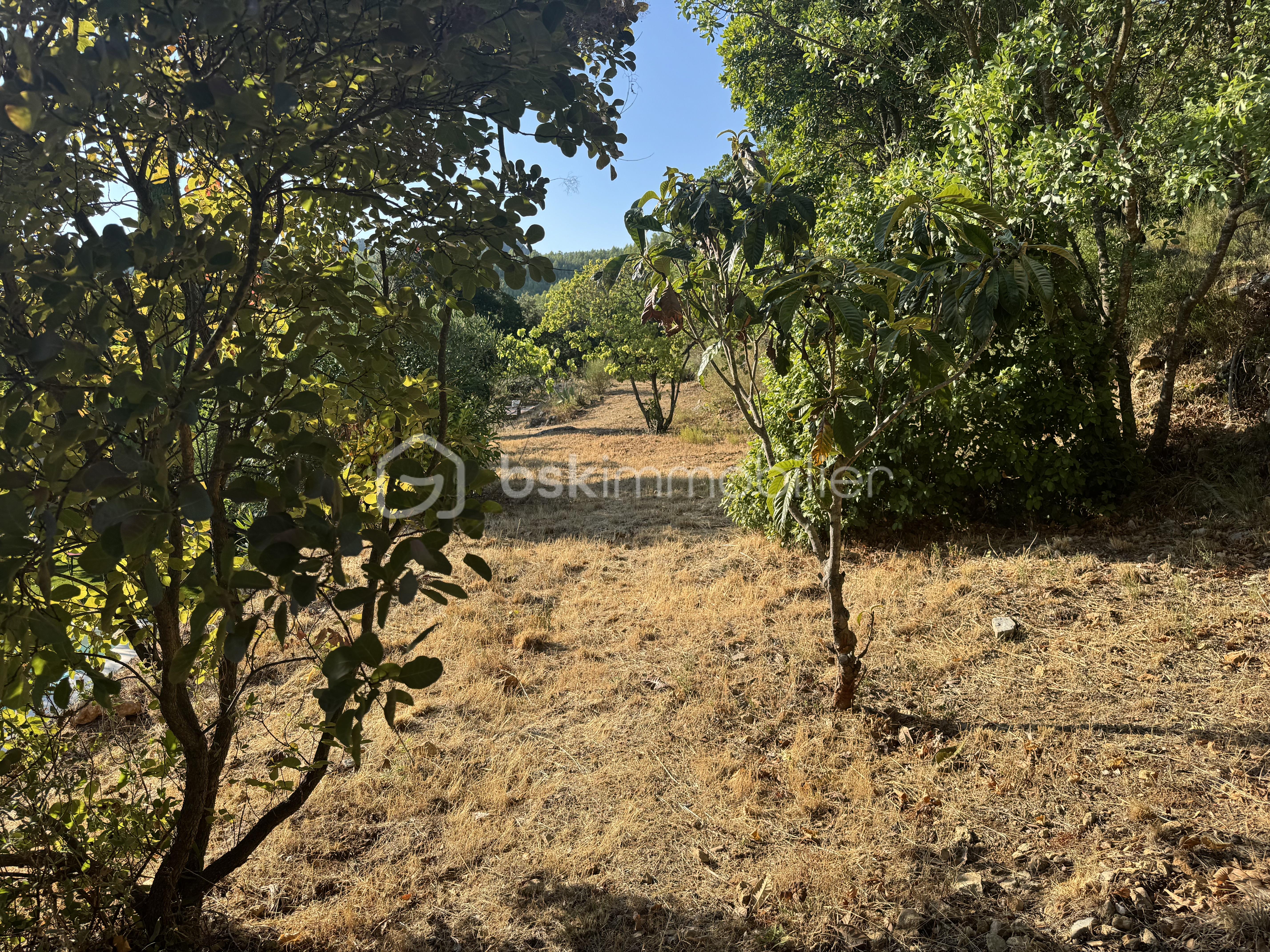 IMG_6578.jpeg
