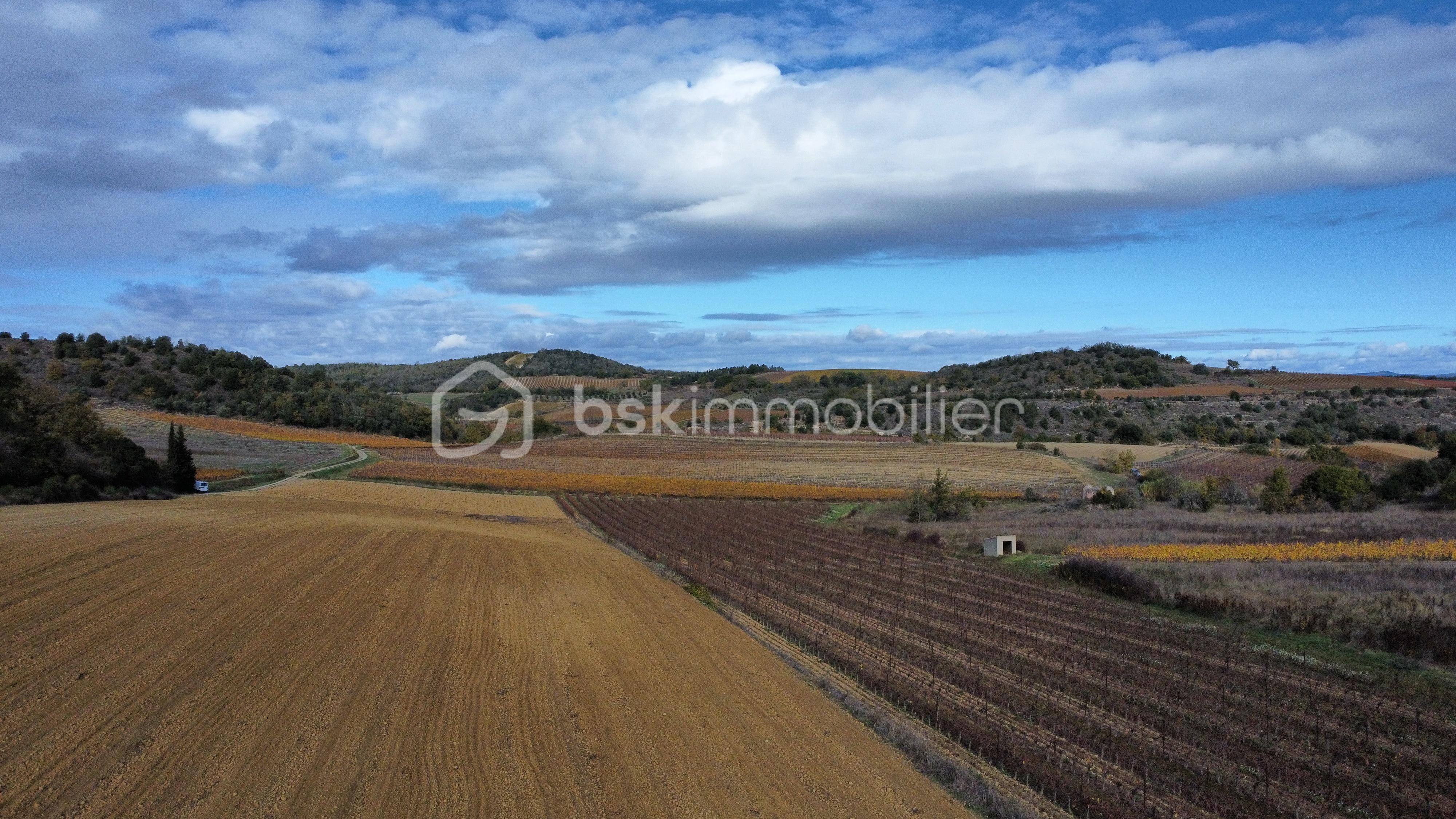 dji_fly_20251117_114736_143_1763379084893_photo_optimized.jpg