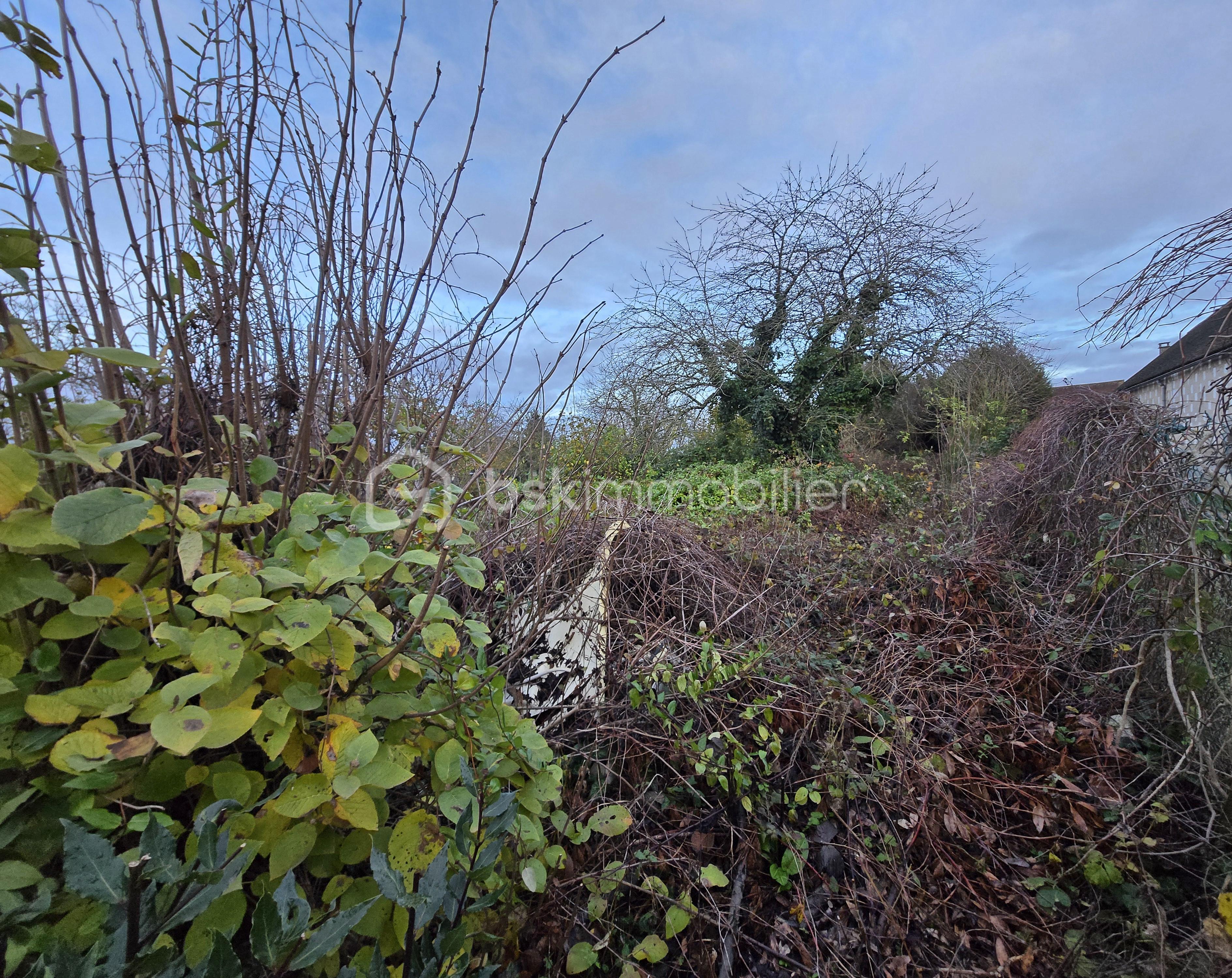 Maison de village de 99 m² - jardin.jpg