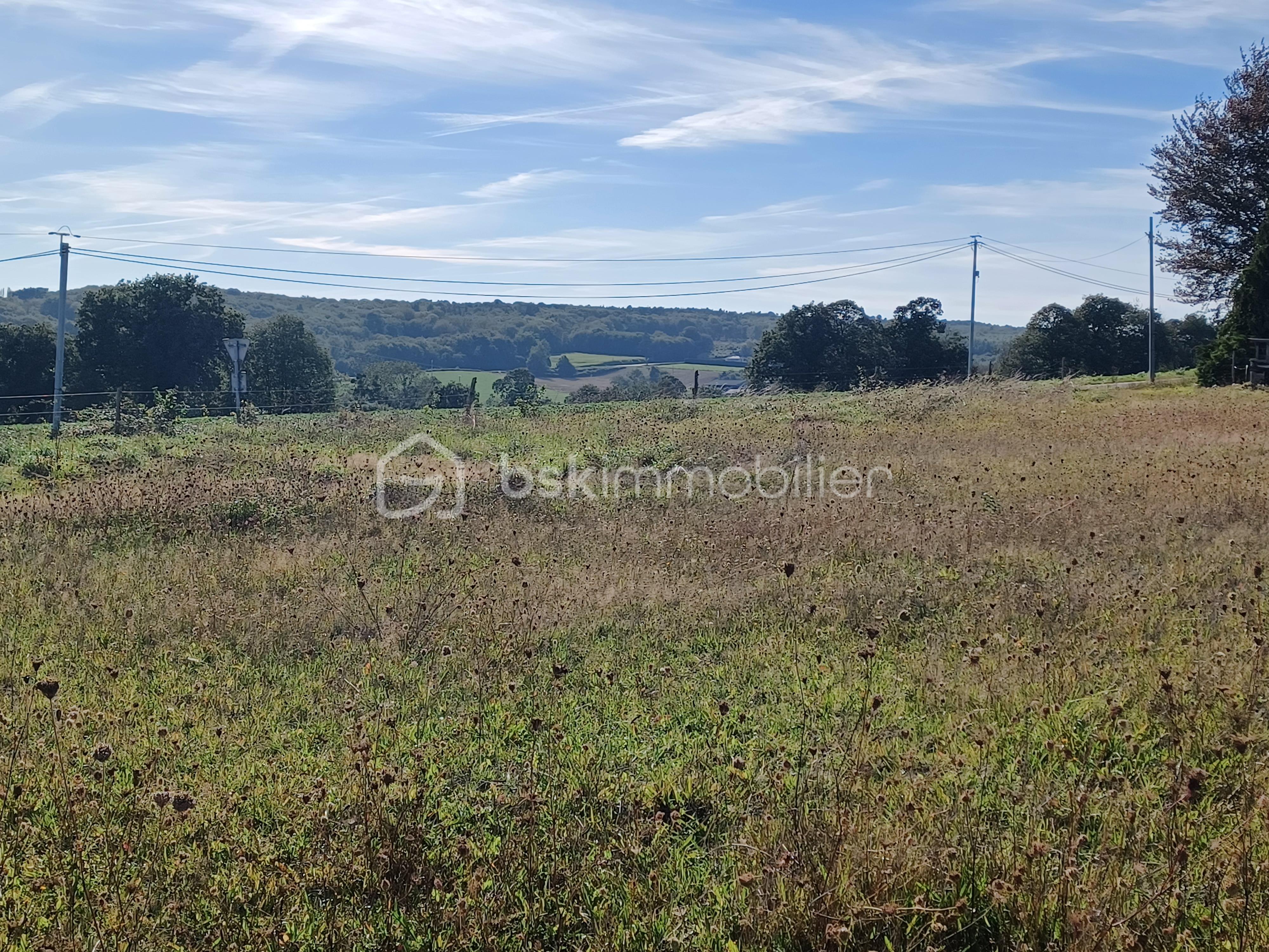 Terrain de 927 m² - 20230924_164624.jpg