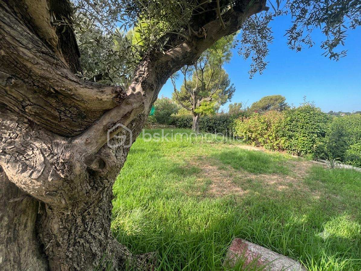 jardin.png