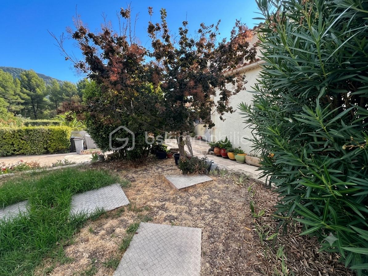 jardin-2.png