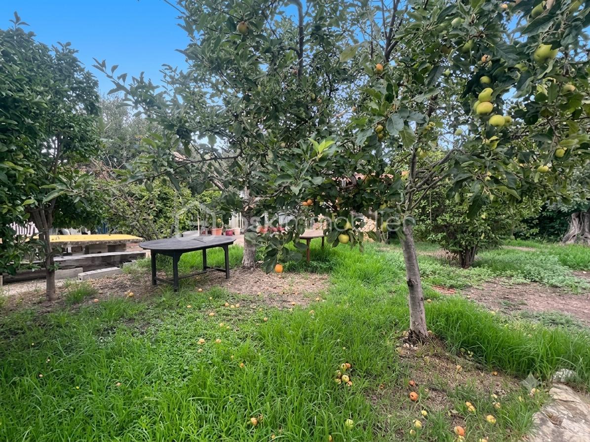 jardin-3.png