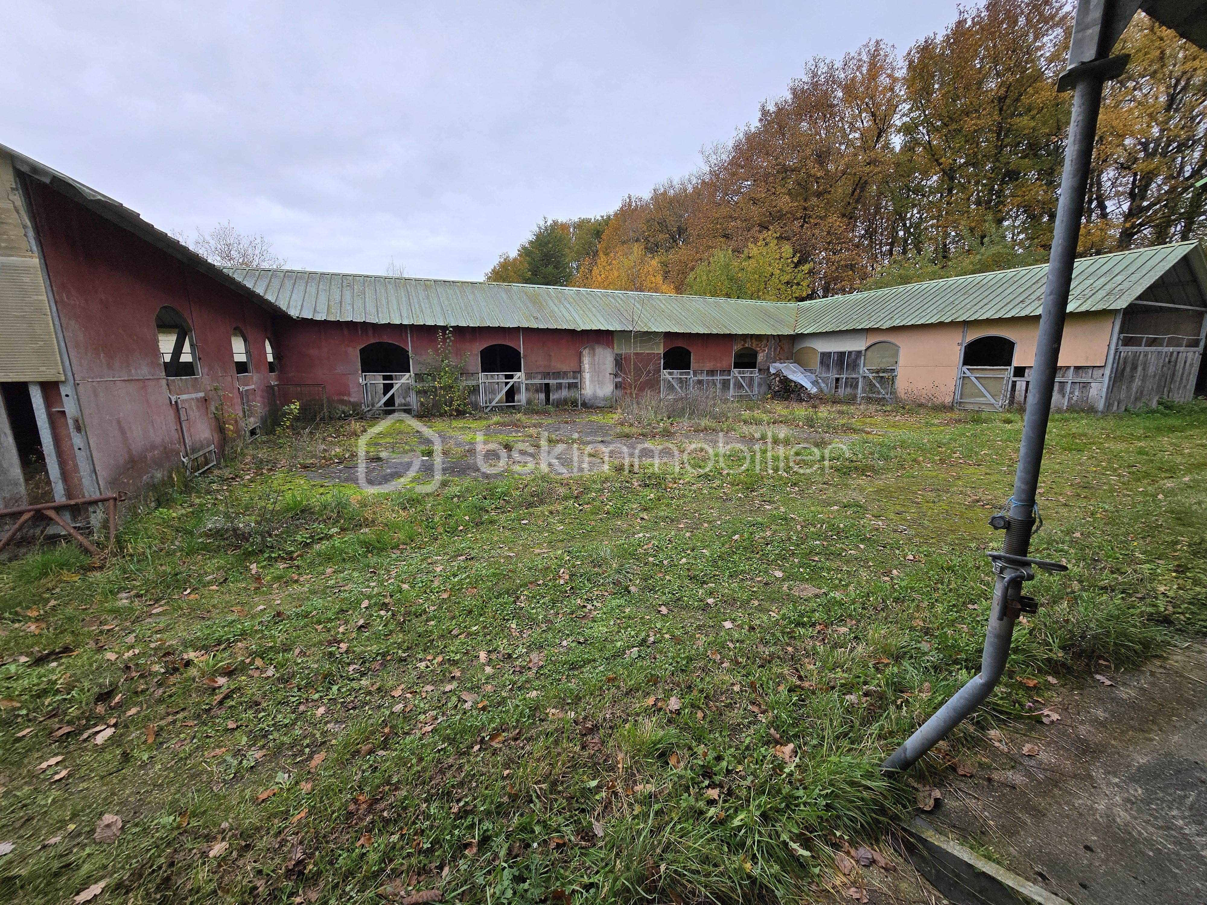 Demeure de 216 m² - 20251106_150457[1].jpg