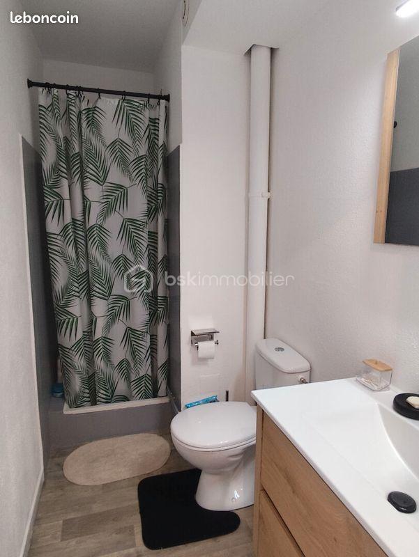 Appartement de 36 m² - ee571ab4172b93602542e599693c6197ccf97210.jpg