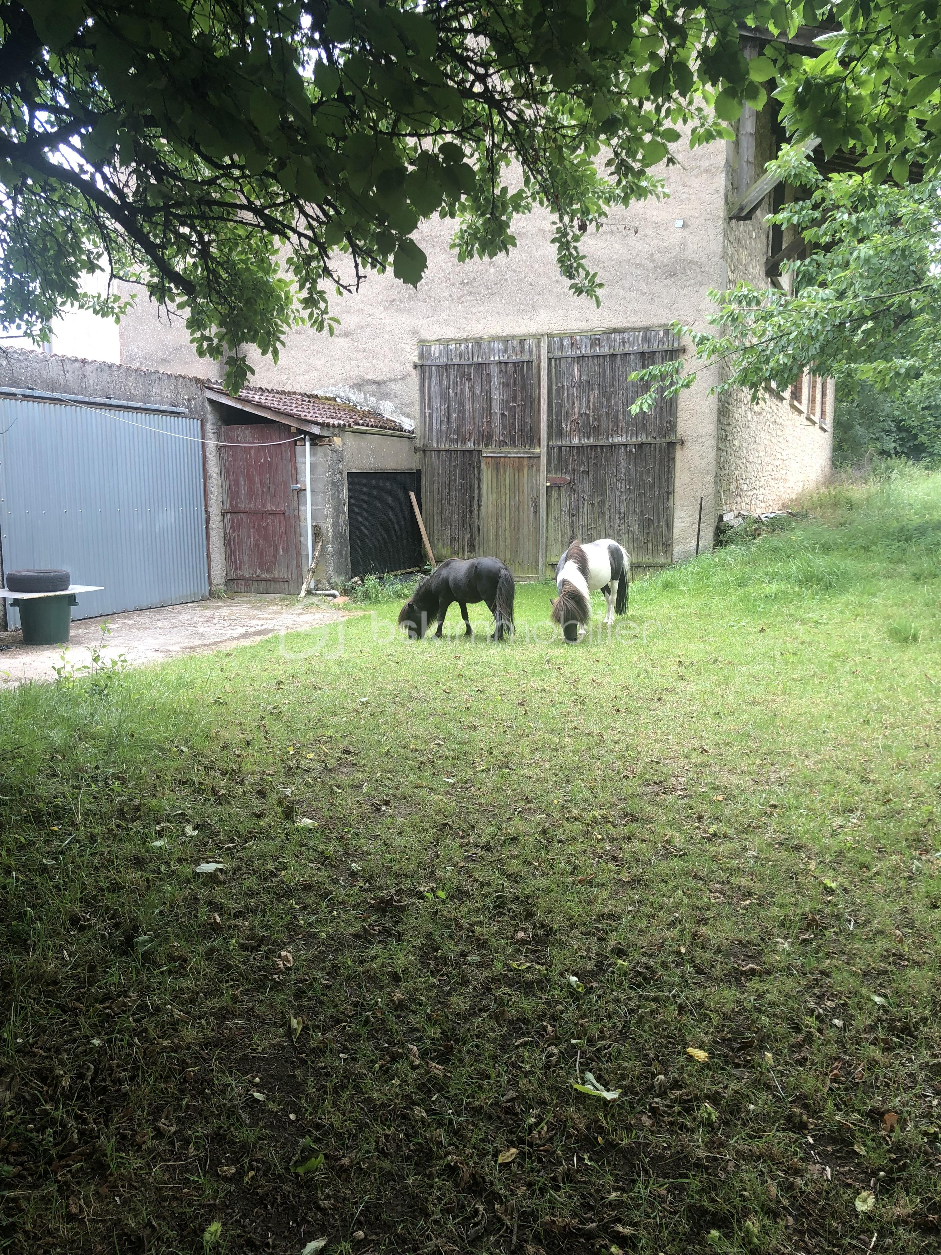 Grange de 280 m² - IMG_3455-preview.jpeg