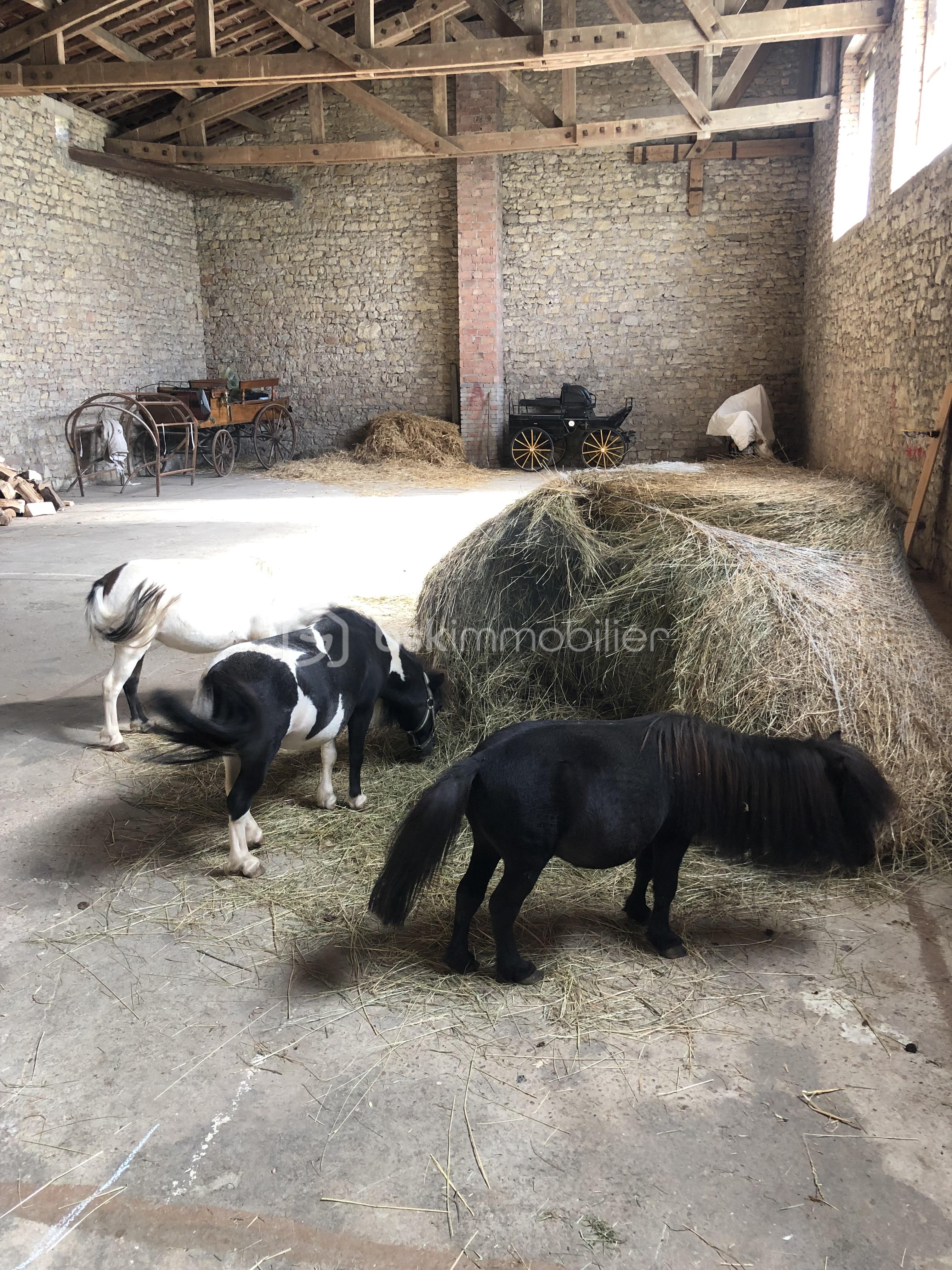 Grange de 280 m² - 77860058136__3288DBEE-0533-4CD5-AAD8-8B3A91A29686.jpeg