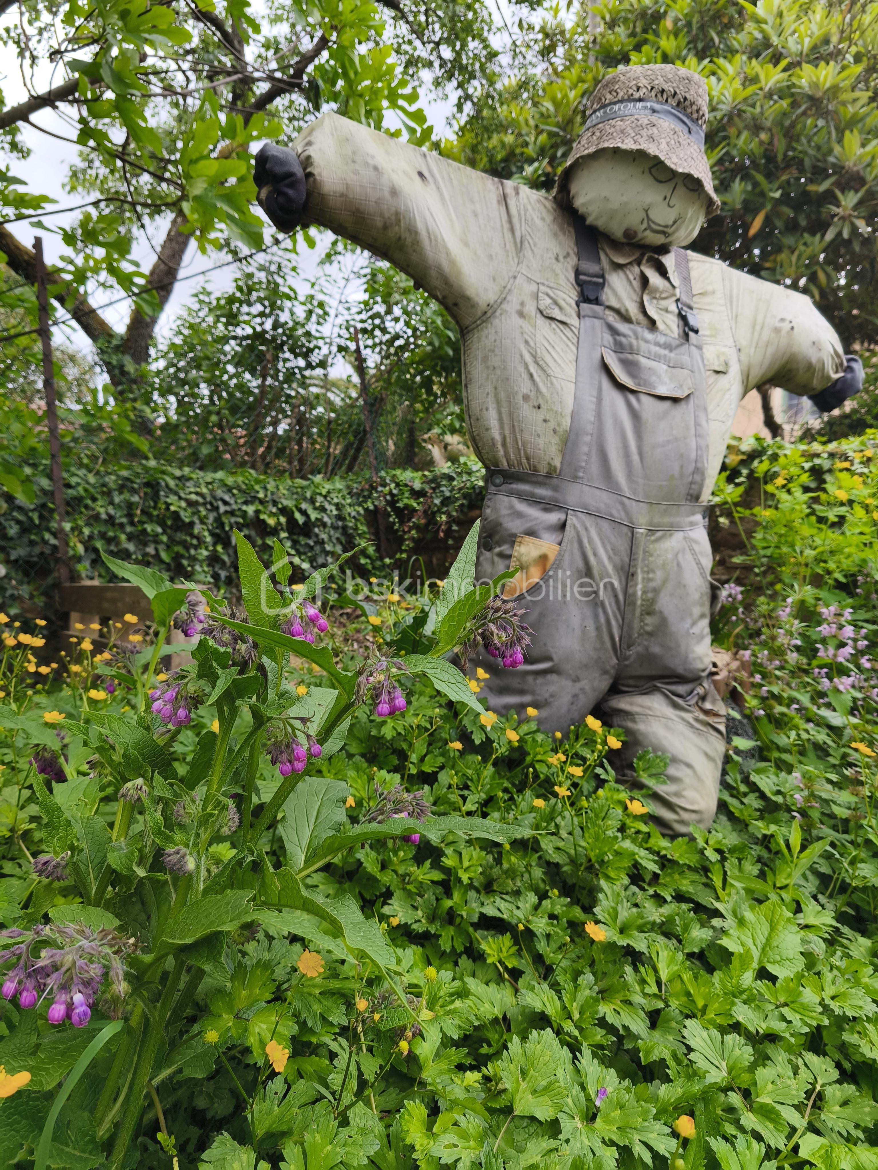 Maison ancienne de 225 m² - IMG_20250417_141206.jpg