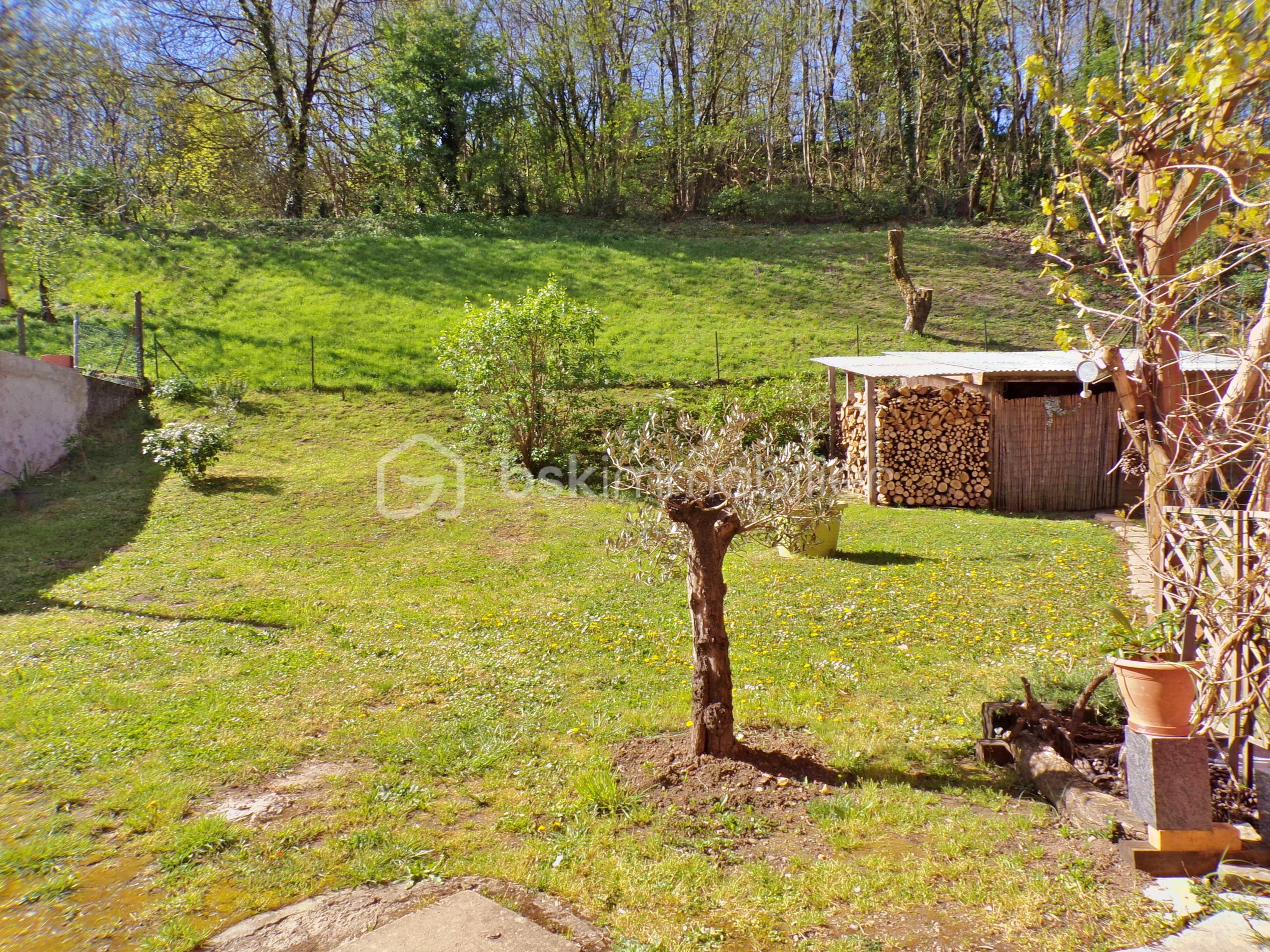 Jardin.JPG