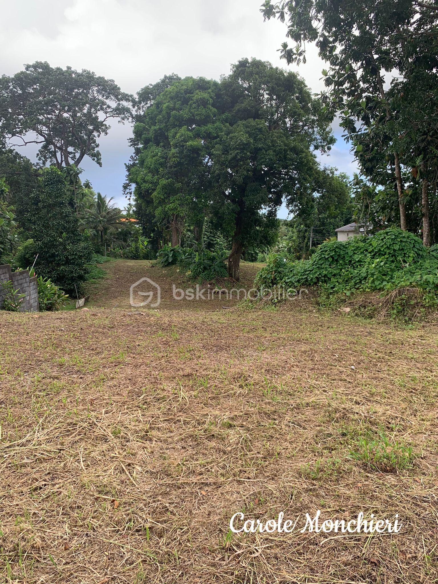 Terrain de 817 m² - IMG-20250906-WA0002.jpg