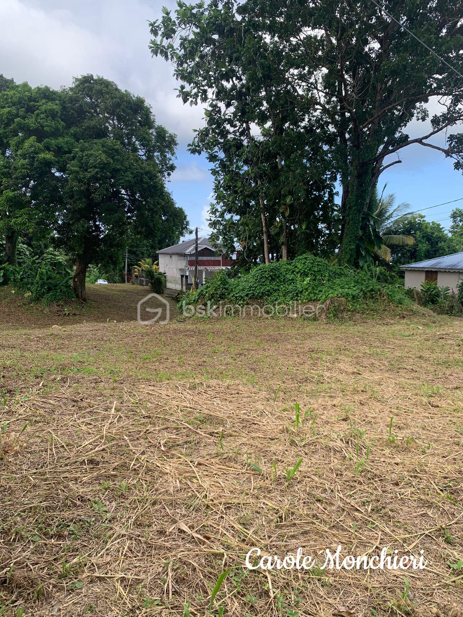 Terrain de 817 m² - IMG-20250906-WA0006.jpg
