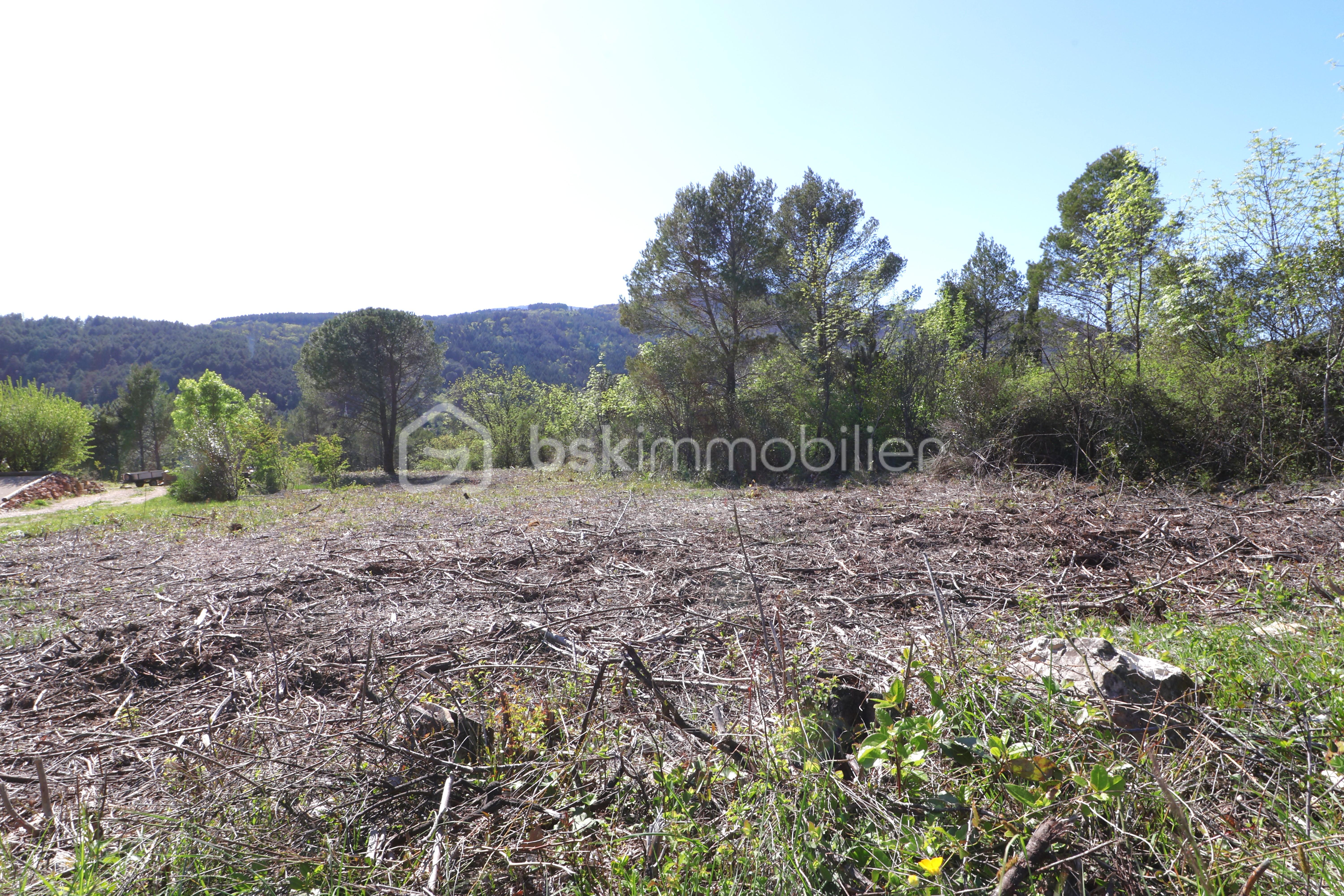 Terrain de 2 920 m² - IMG_2211.JPG