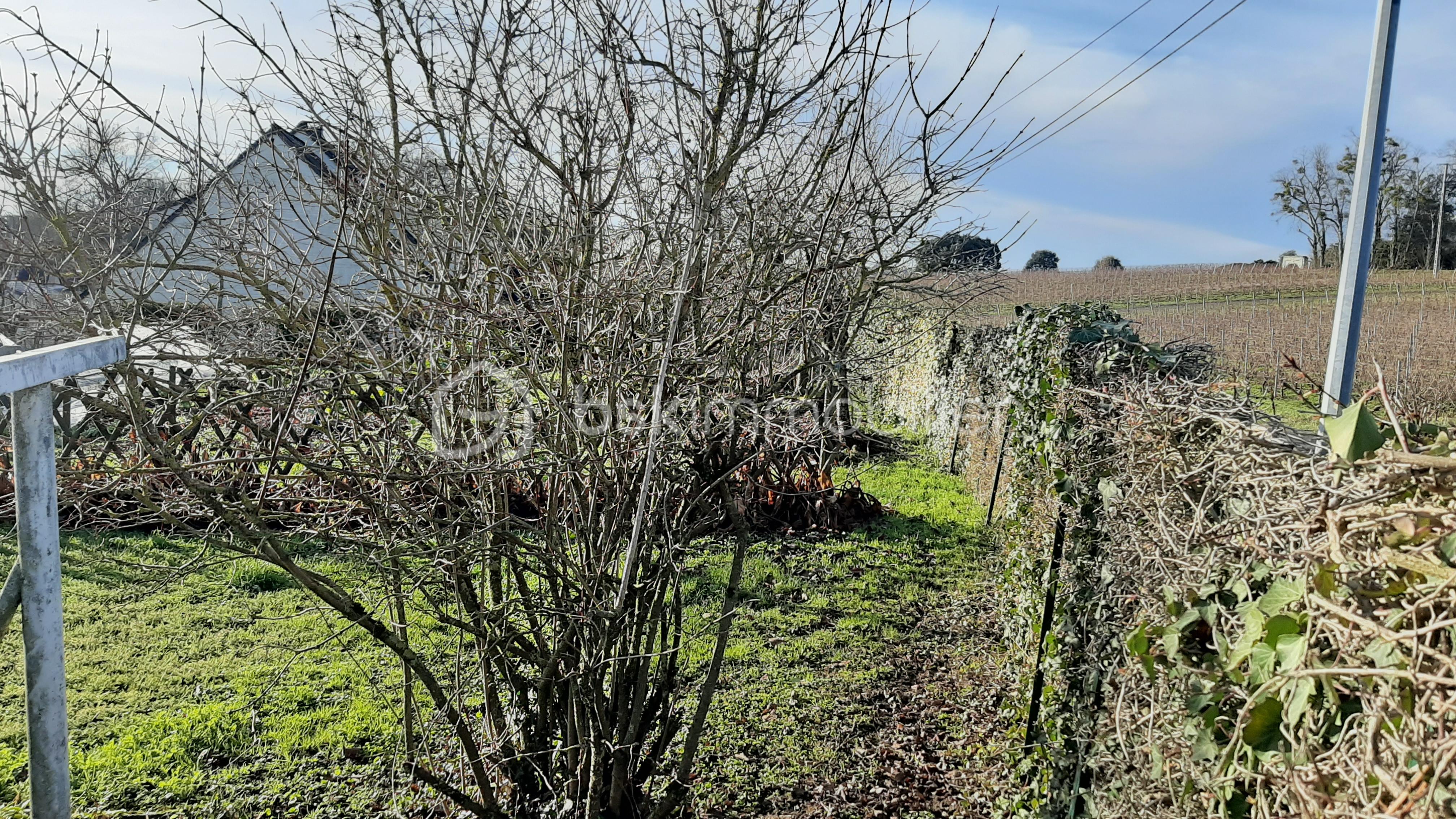 Terrain commercial de 500 m² - 3.jpg