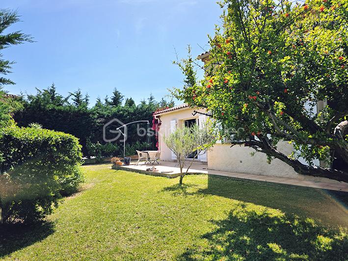 jardin vue grenadier.jpg