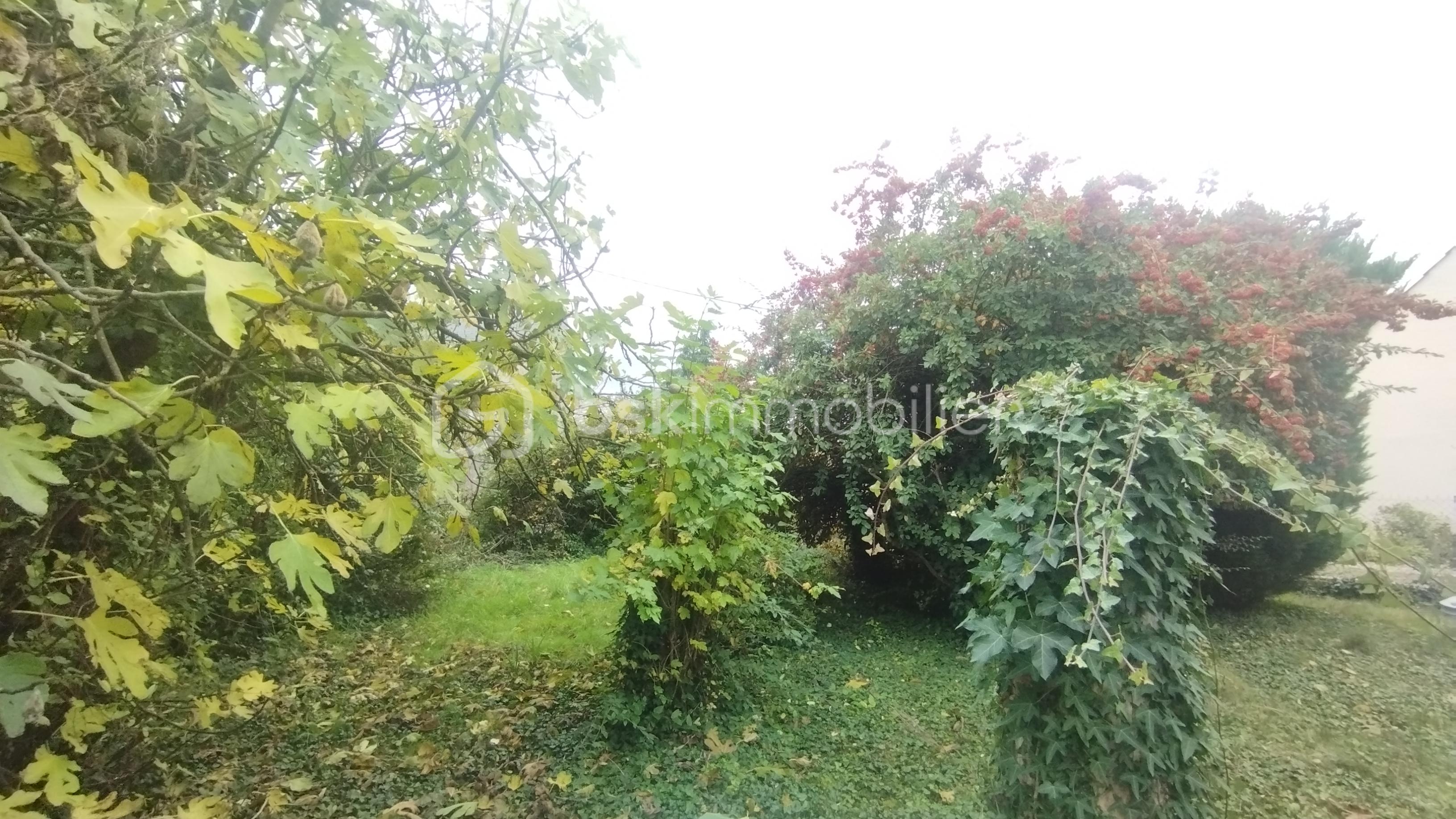 Terrain de 587 m² - IMG_20251028_160249.jpg