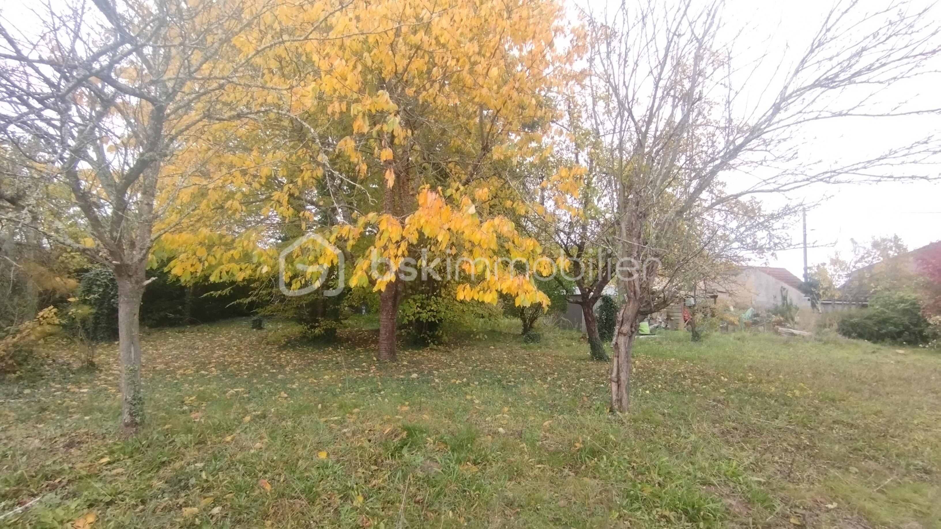 Terrain de 587 m² - IMG_20251028_154645.jpg