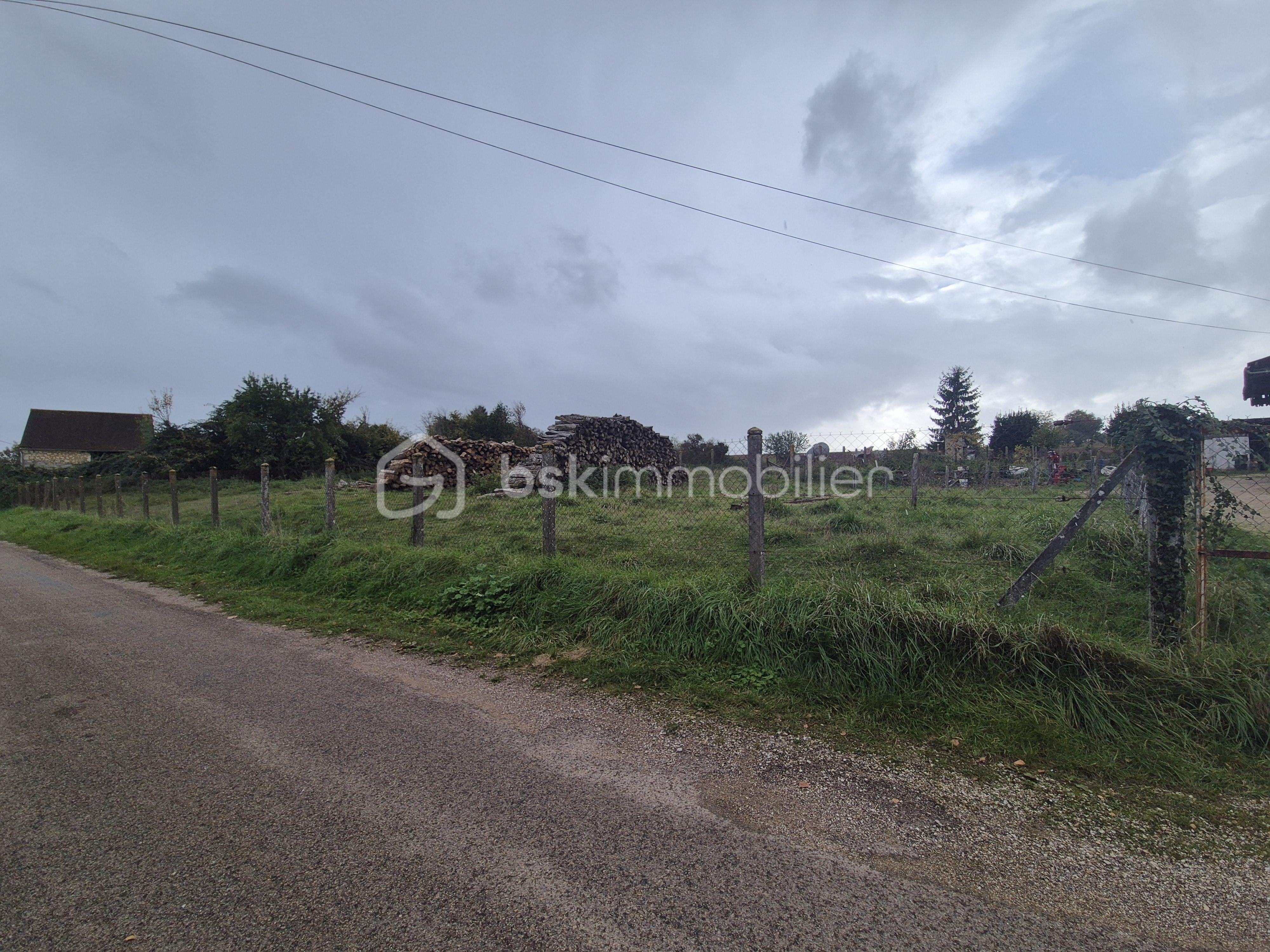 Terrain de 2 092 m² - 20251020_151732.jpg