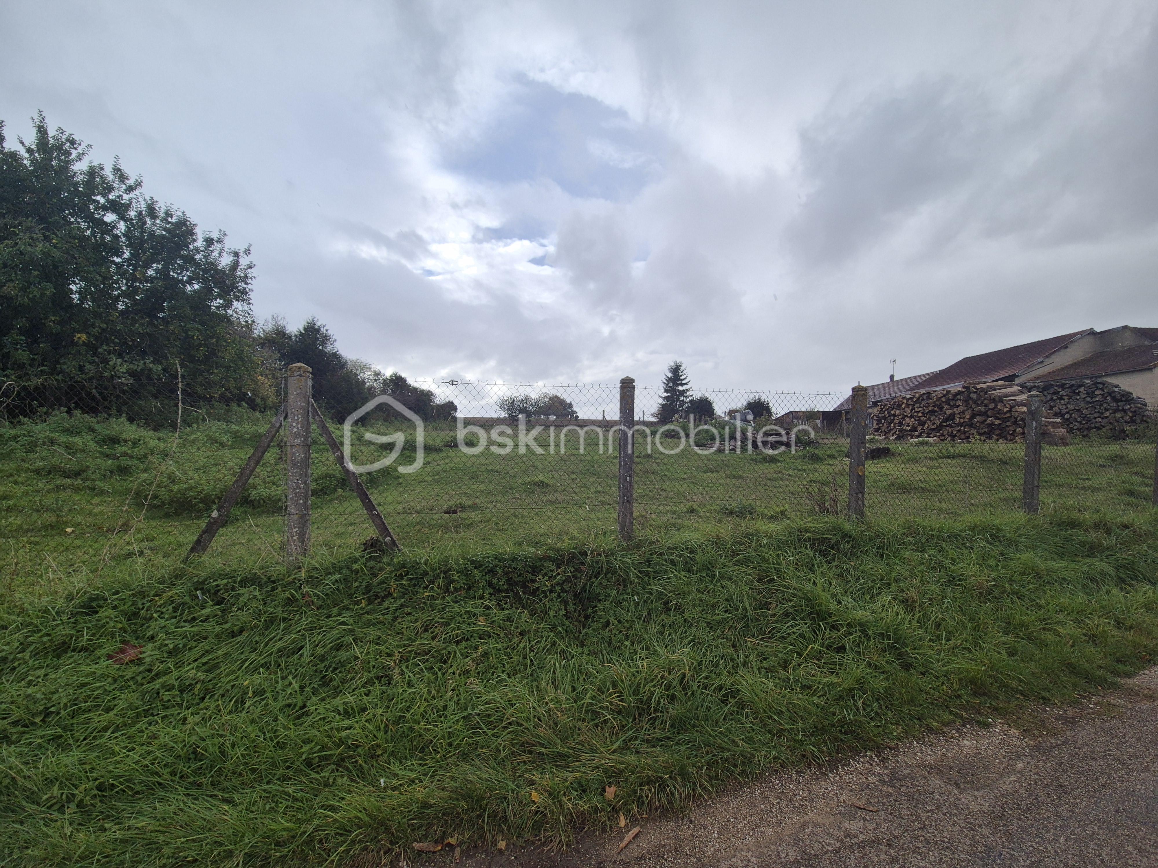 Terrain de 2 092 m² - 20251020_151813.jpg