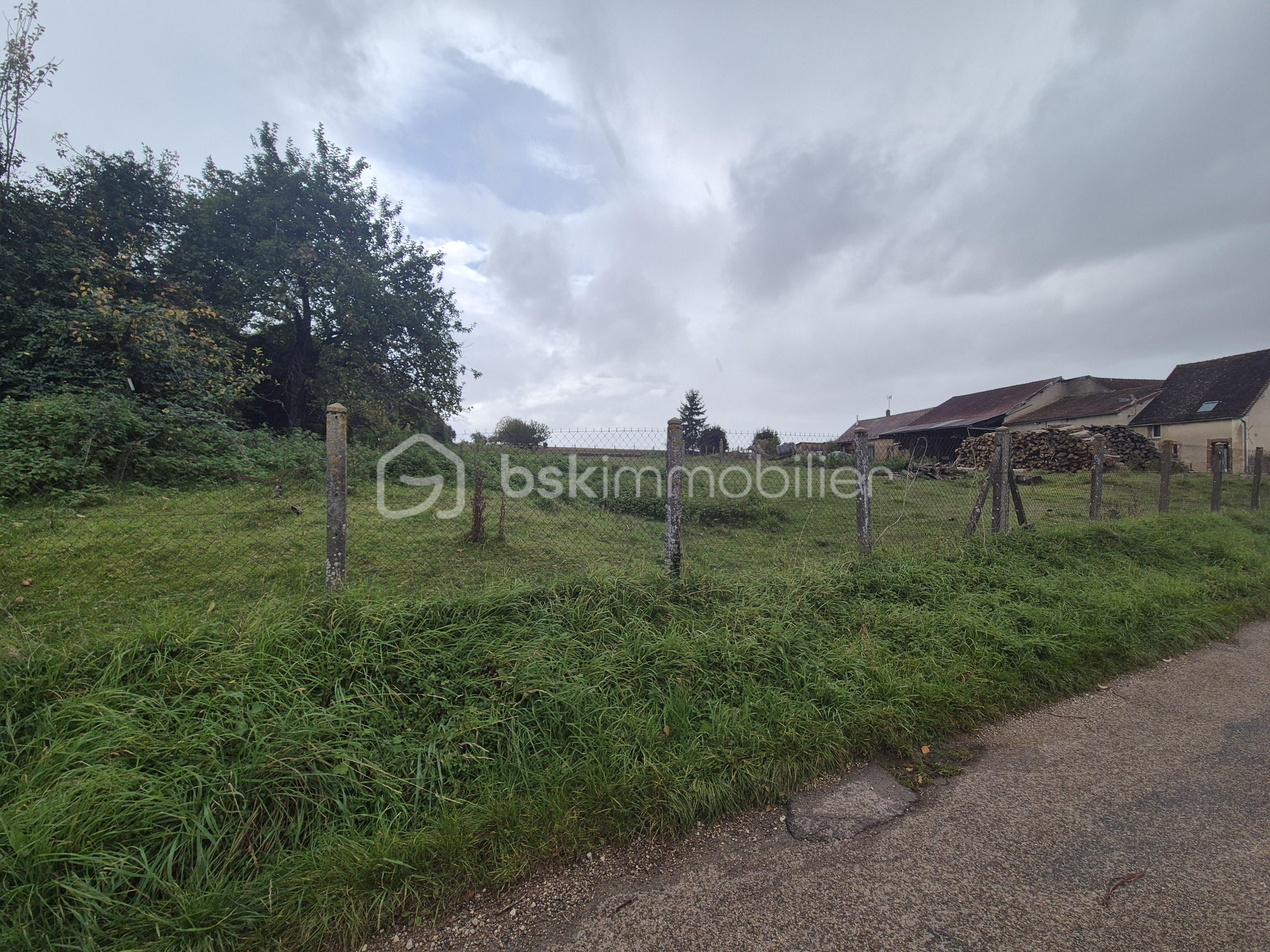 Terrain de 2 092 m² - 20251020_151803.jpg