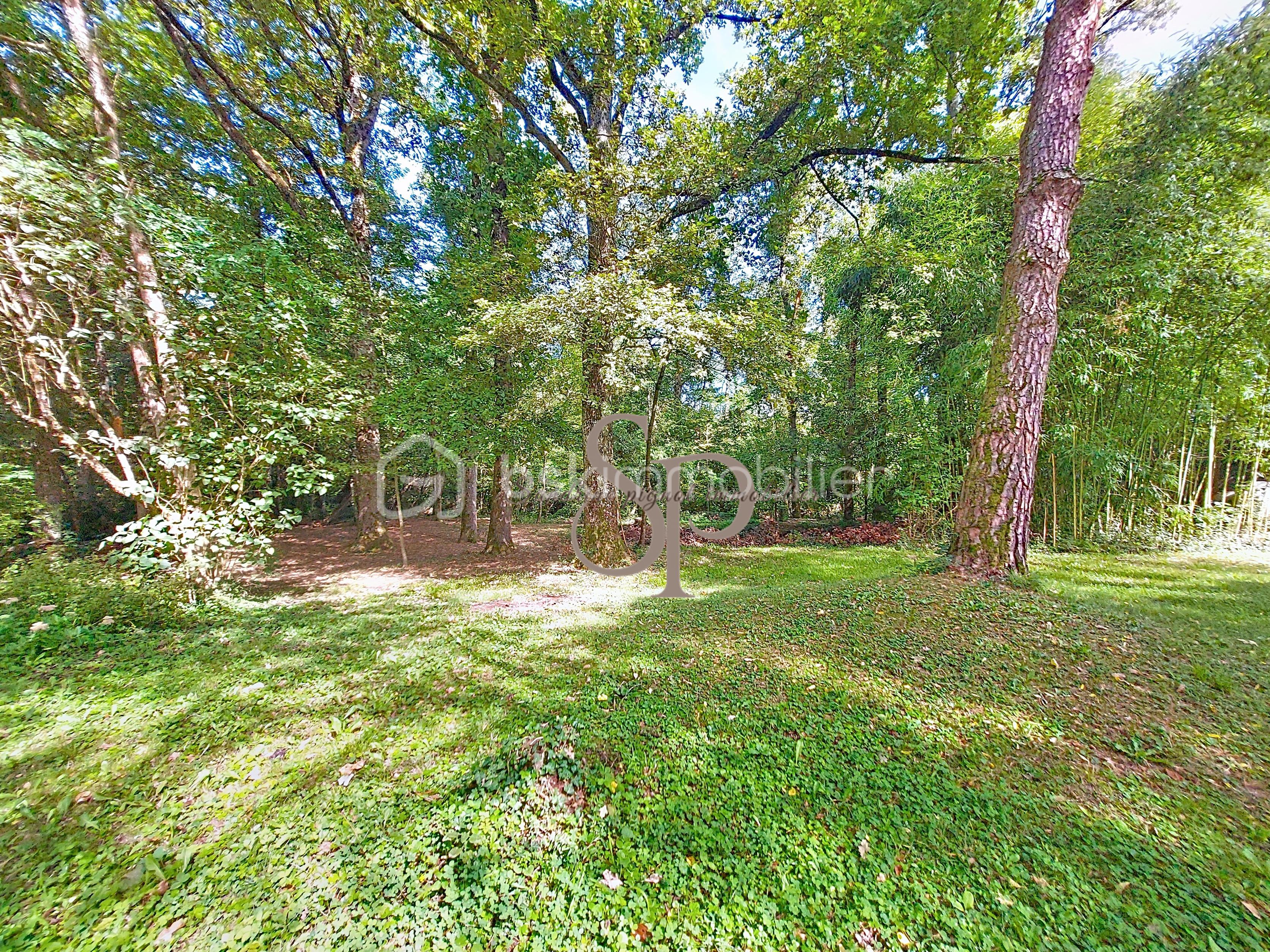 Maison de 95 m² - jardin vers bois.jpg