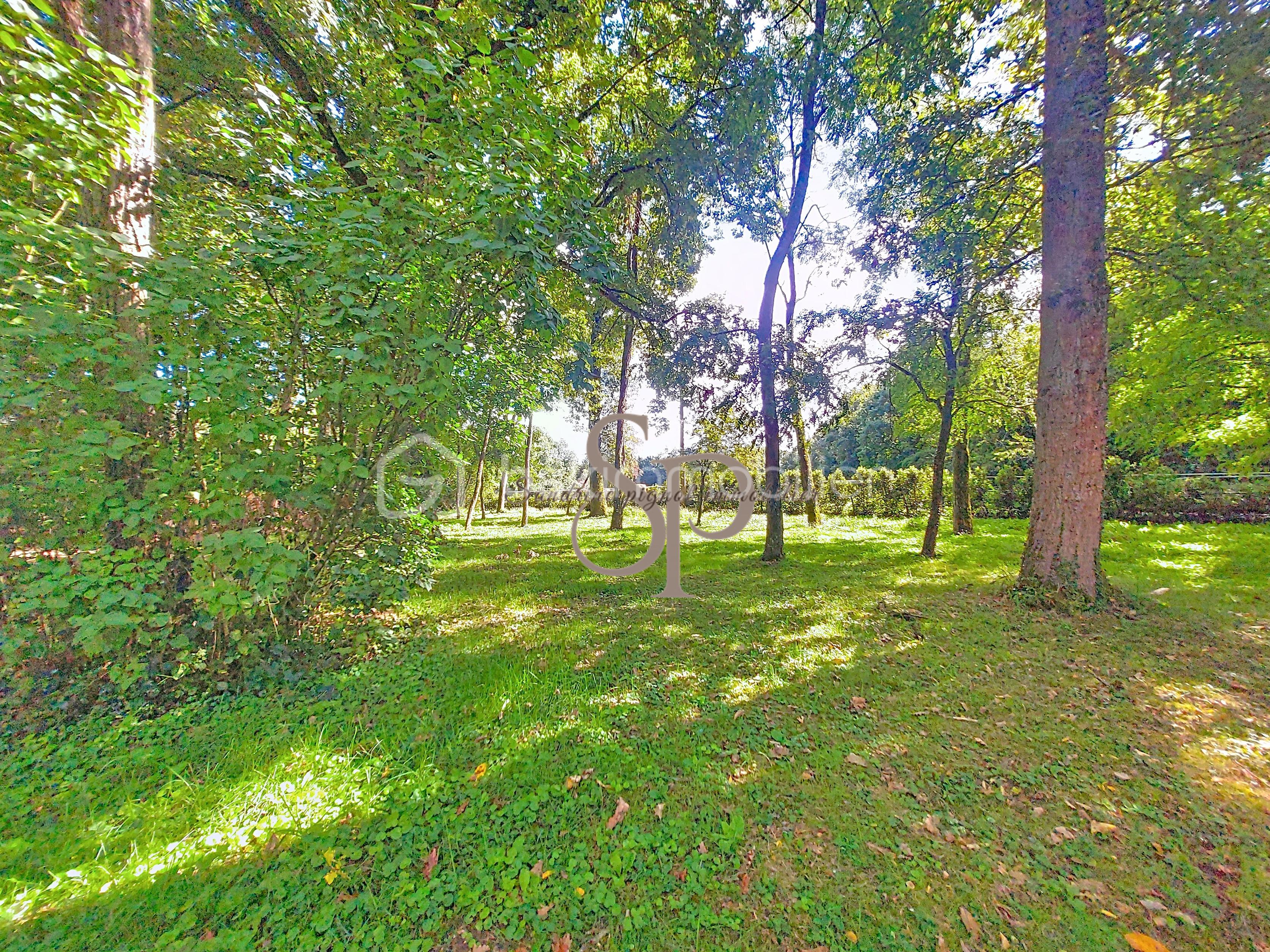 Maison de 95 m² - jardin vers pré.jpg