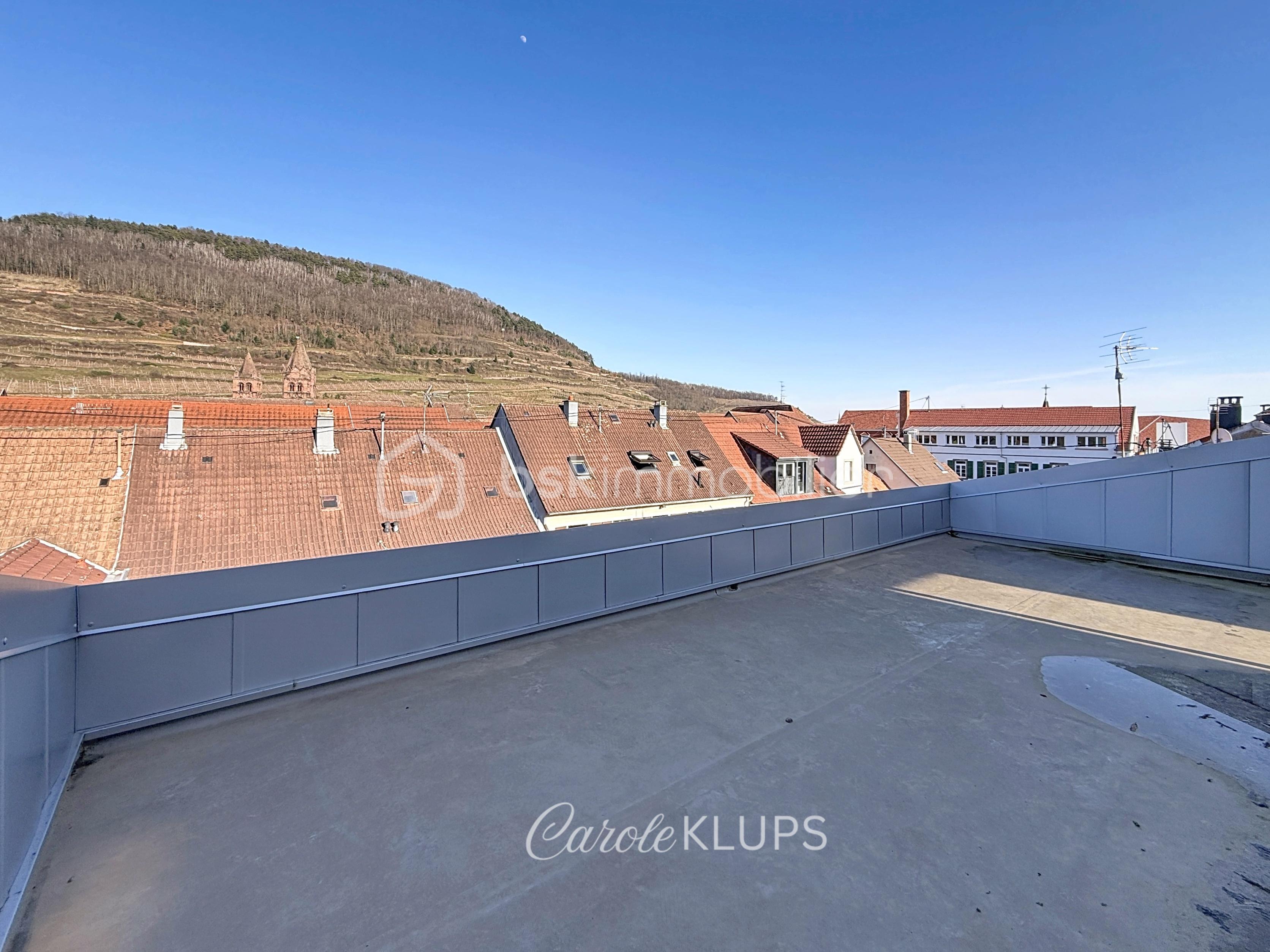 immobilier-riedisheim-carole-klups-estimation-gratuite-appartement-avendre-maison_00103.jpg