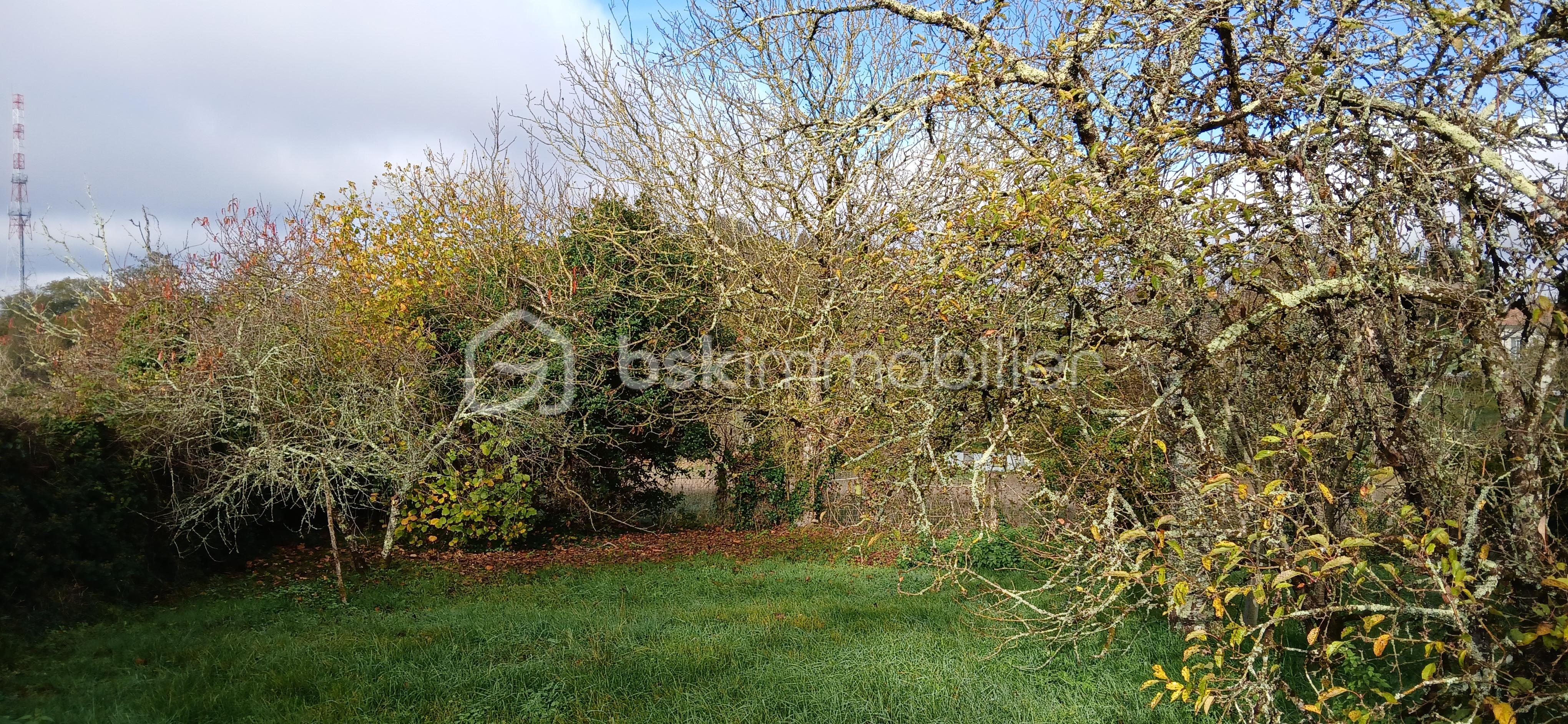 Maison traditionnelle de 130 m² - 20251118_104628.jpg