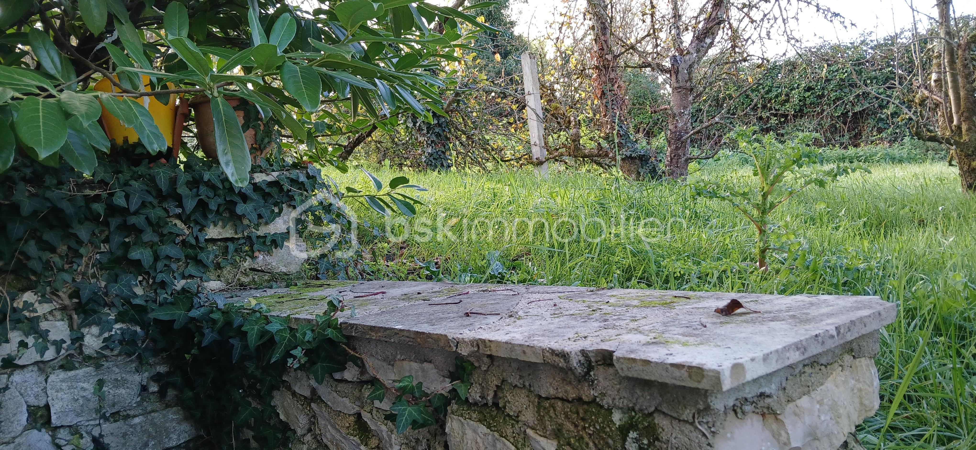 Maison traditionnelle de 130 m² - 20251118_105243.jpg