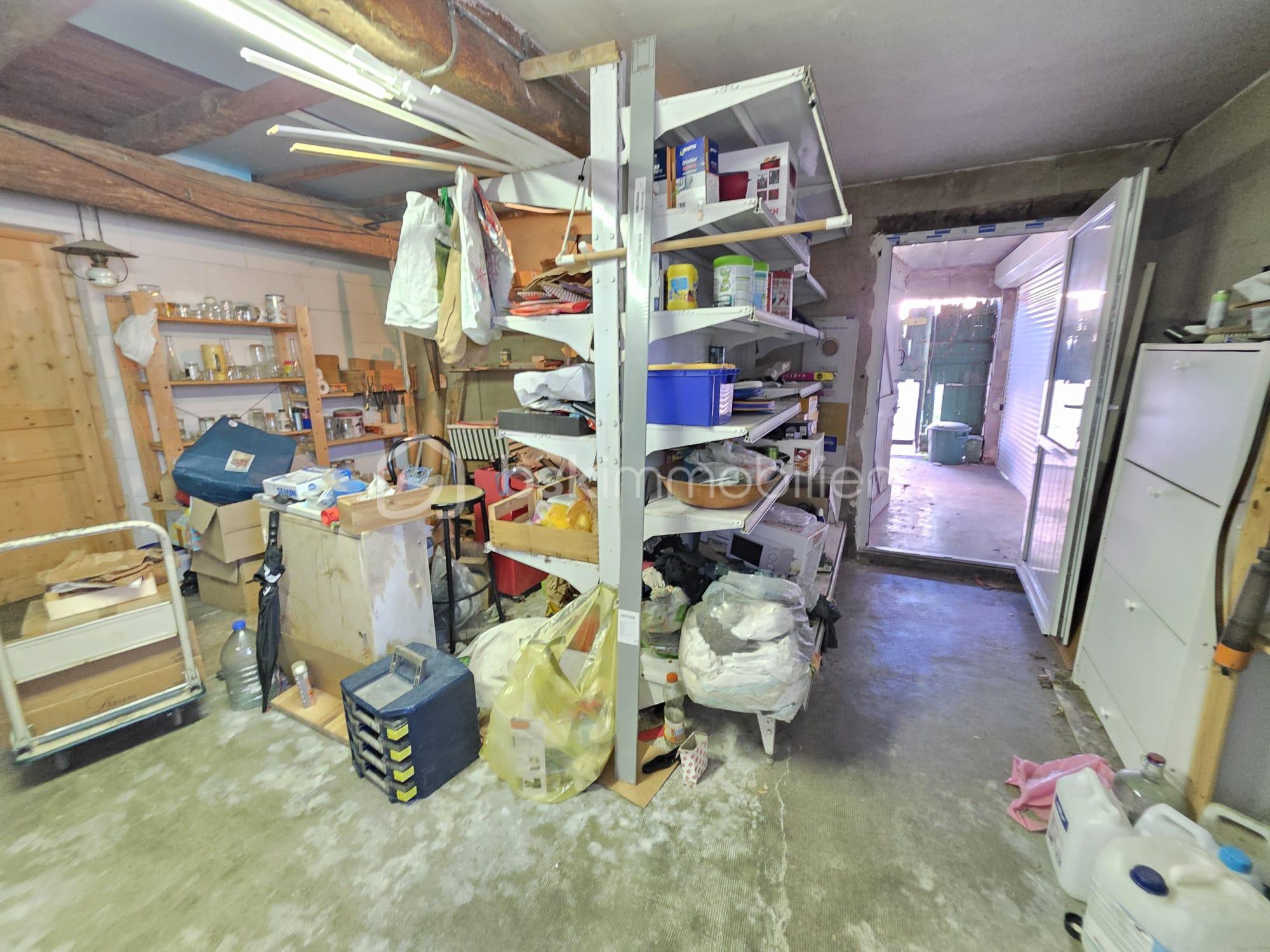 WhatsApp Image 2026-03-20 at 13.01.24 (3).jpeg