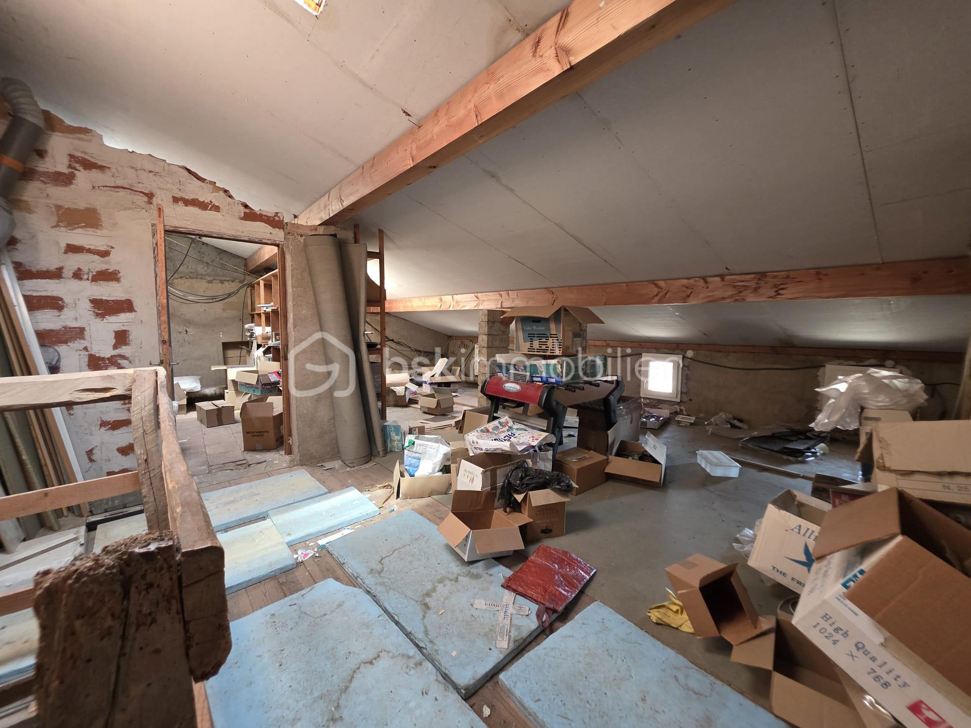 WhatsApp Image 2026-03-20 at 13.01.26 (1).jpeg