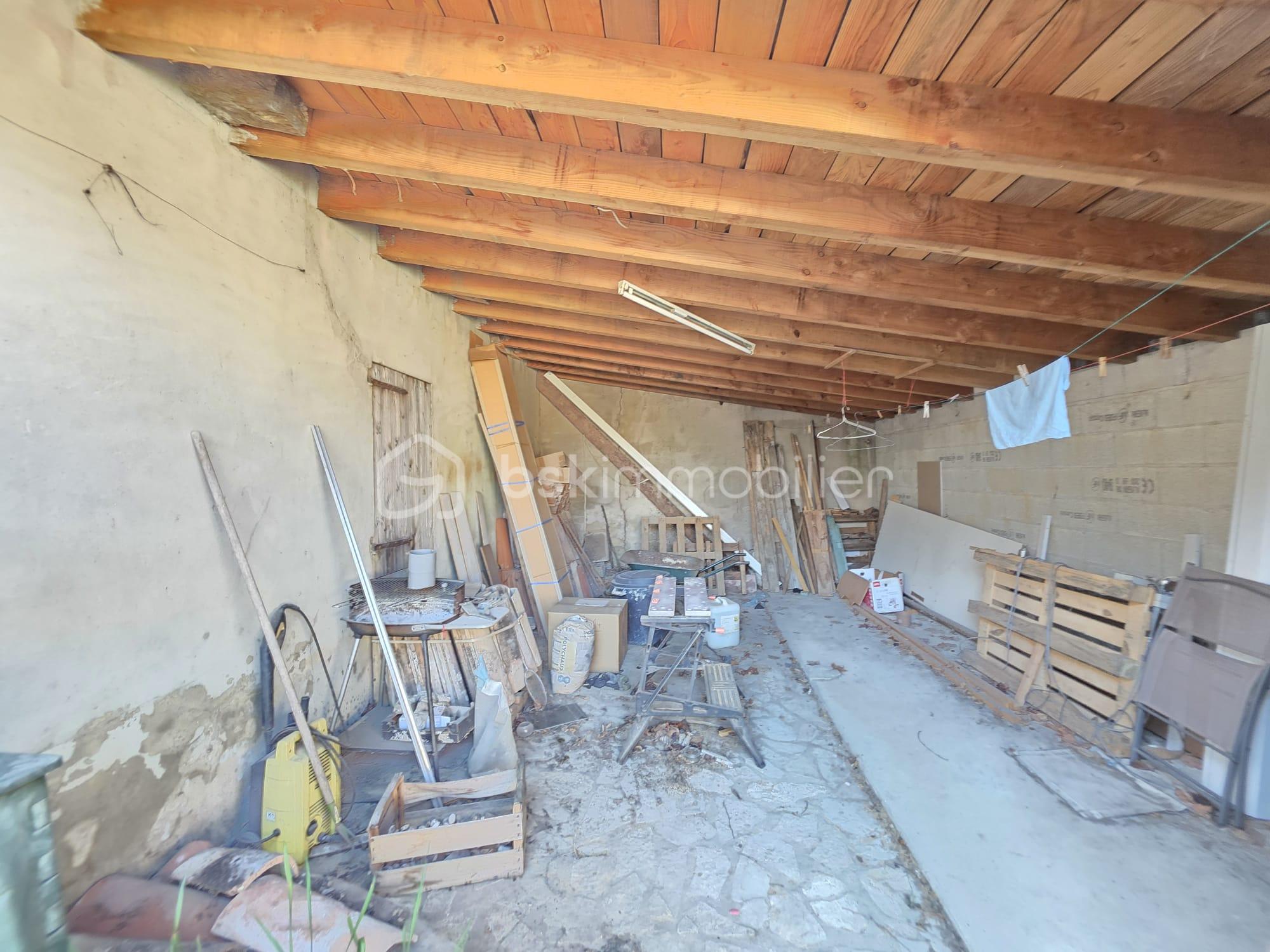 WhatsApp Image 2026-03-20 at 13.01.22 (4).jpeg