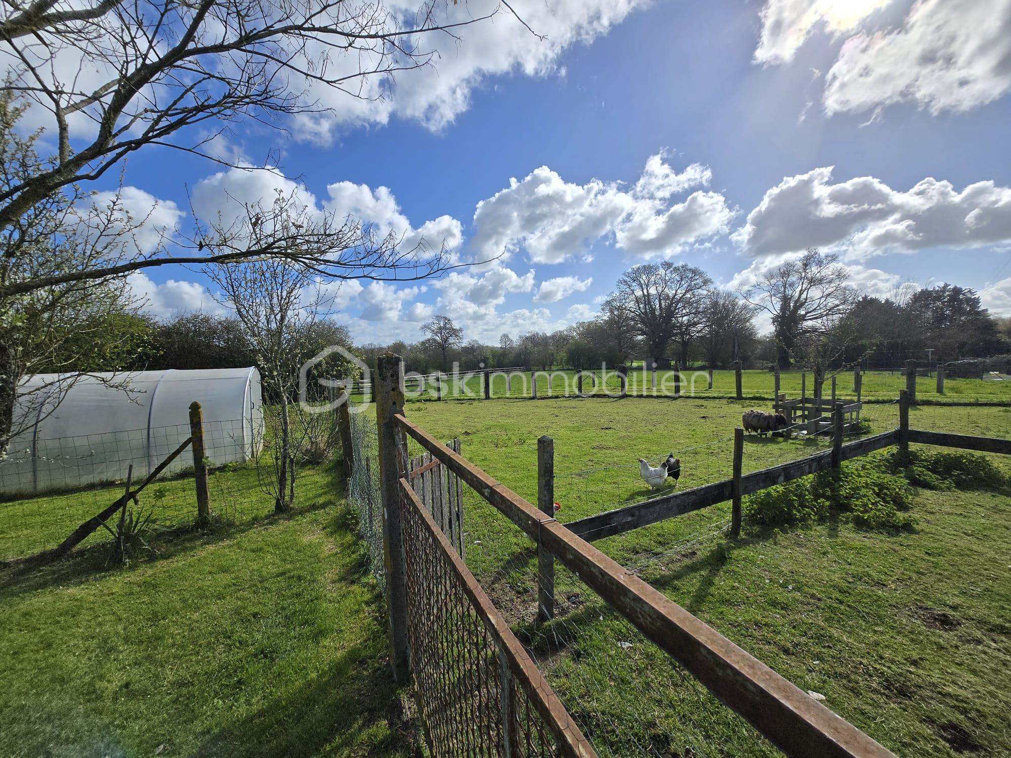 WhatsApp Image 2026-03-28 at 13.56.26 (1).jpeg