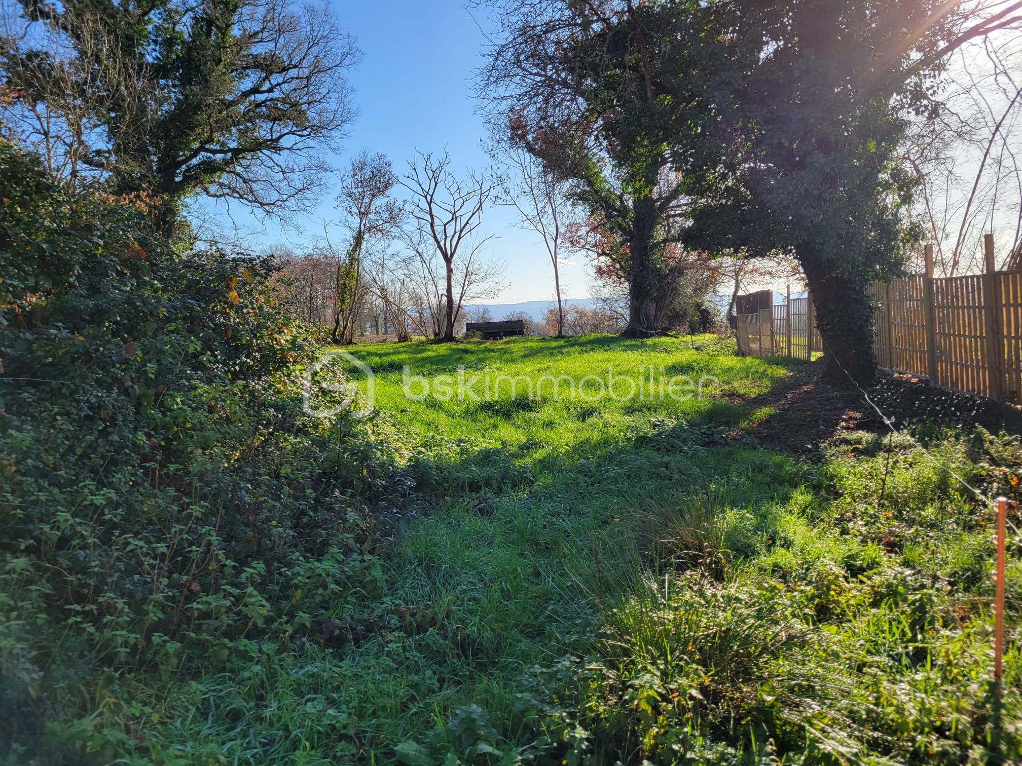 Terrain de 1 441 m² - IMG-20251227-WA0008.jpg