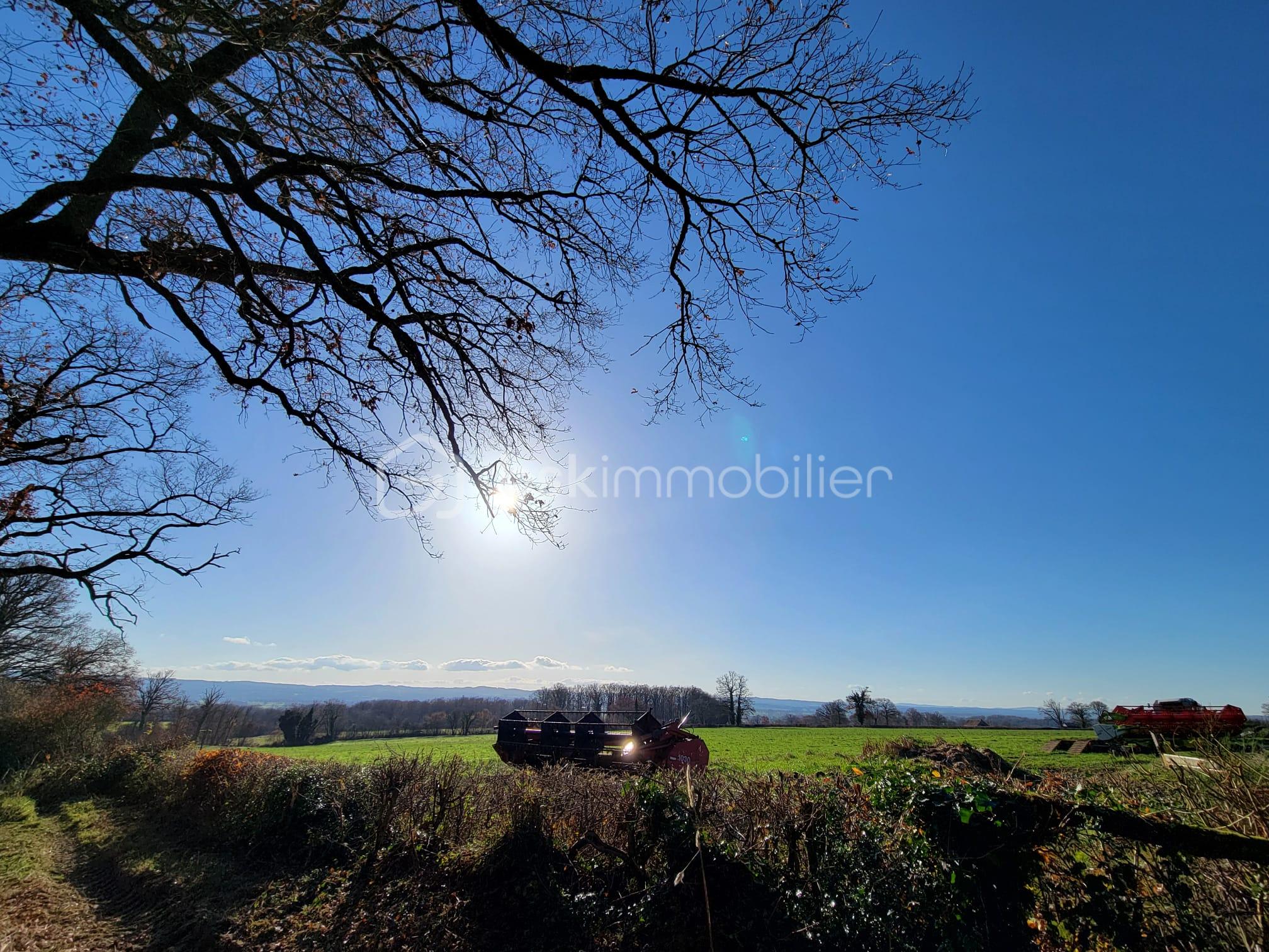 Terrain de 1 441 m² - IMG-20251227-WA0005.jpg