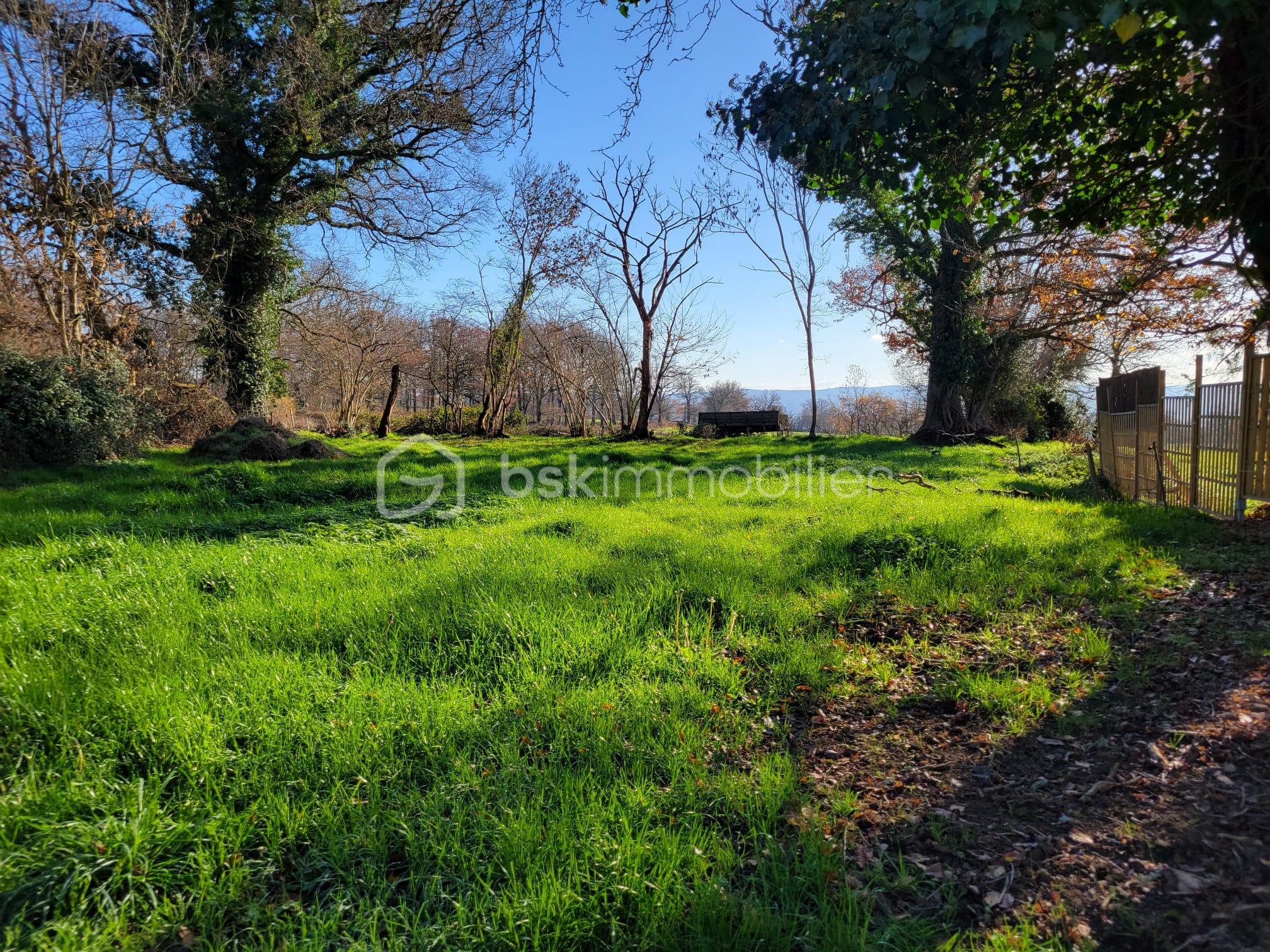 Terrain de 1 441 m² - IMG-20251227-WA0007.jpg