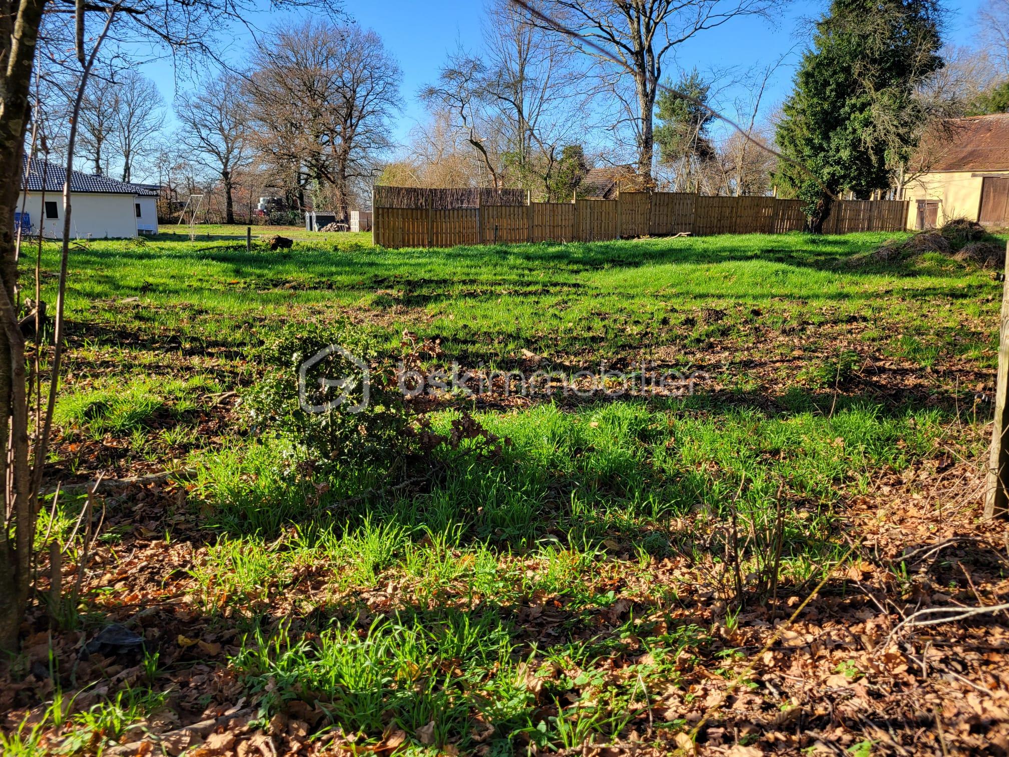 Terrain de 1 441 m² - IMG-20251227-WA0009.jpg