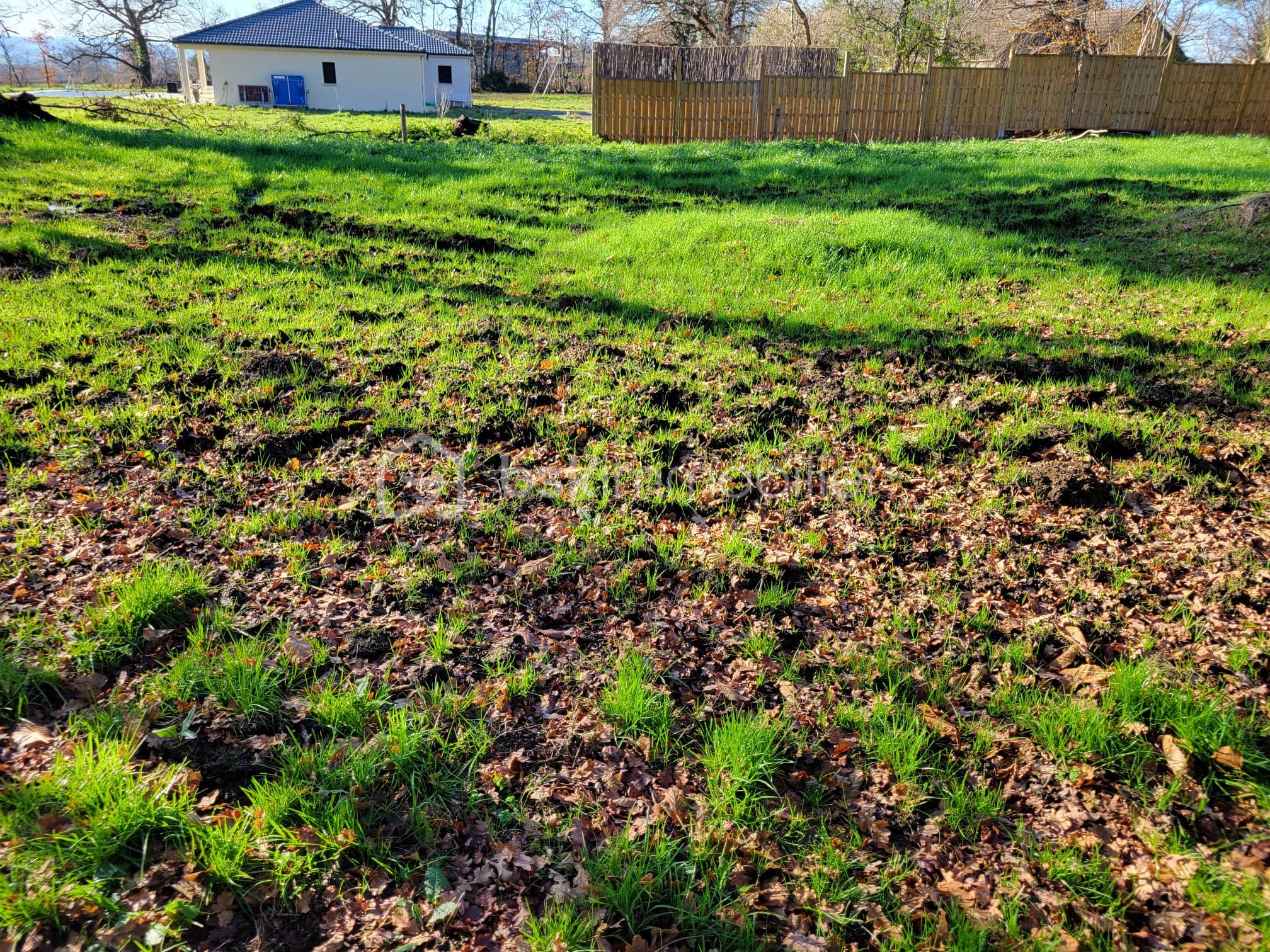 Terrain de 1 441 m² - IMG-20251227-WA0006.jpg