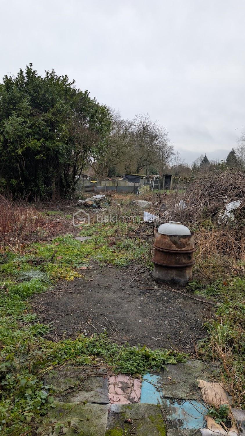 Maison de 300 m² - PXL_20260128_130606872.jpg