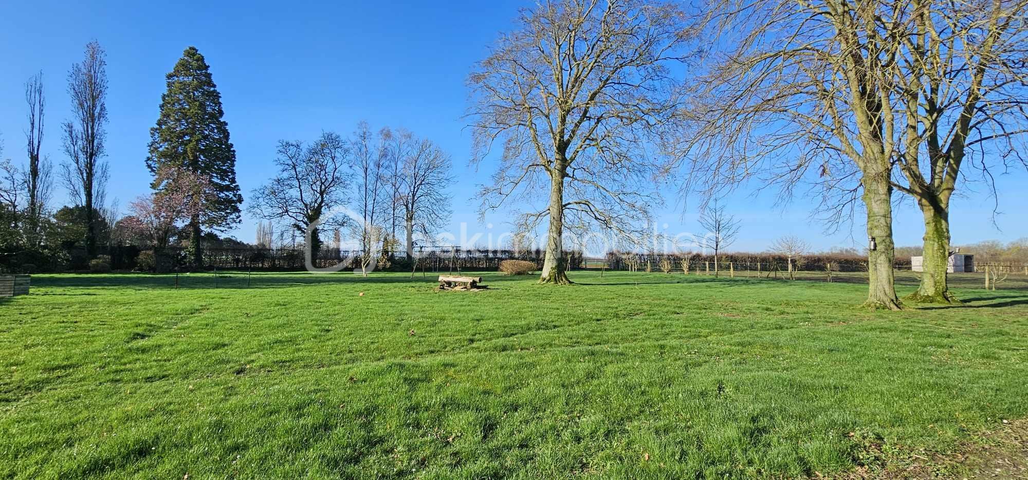Immeuble mixte de 700 m² - 429400278_424418666730810_5159566983042207347_n.jpg